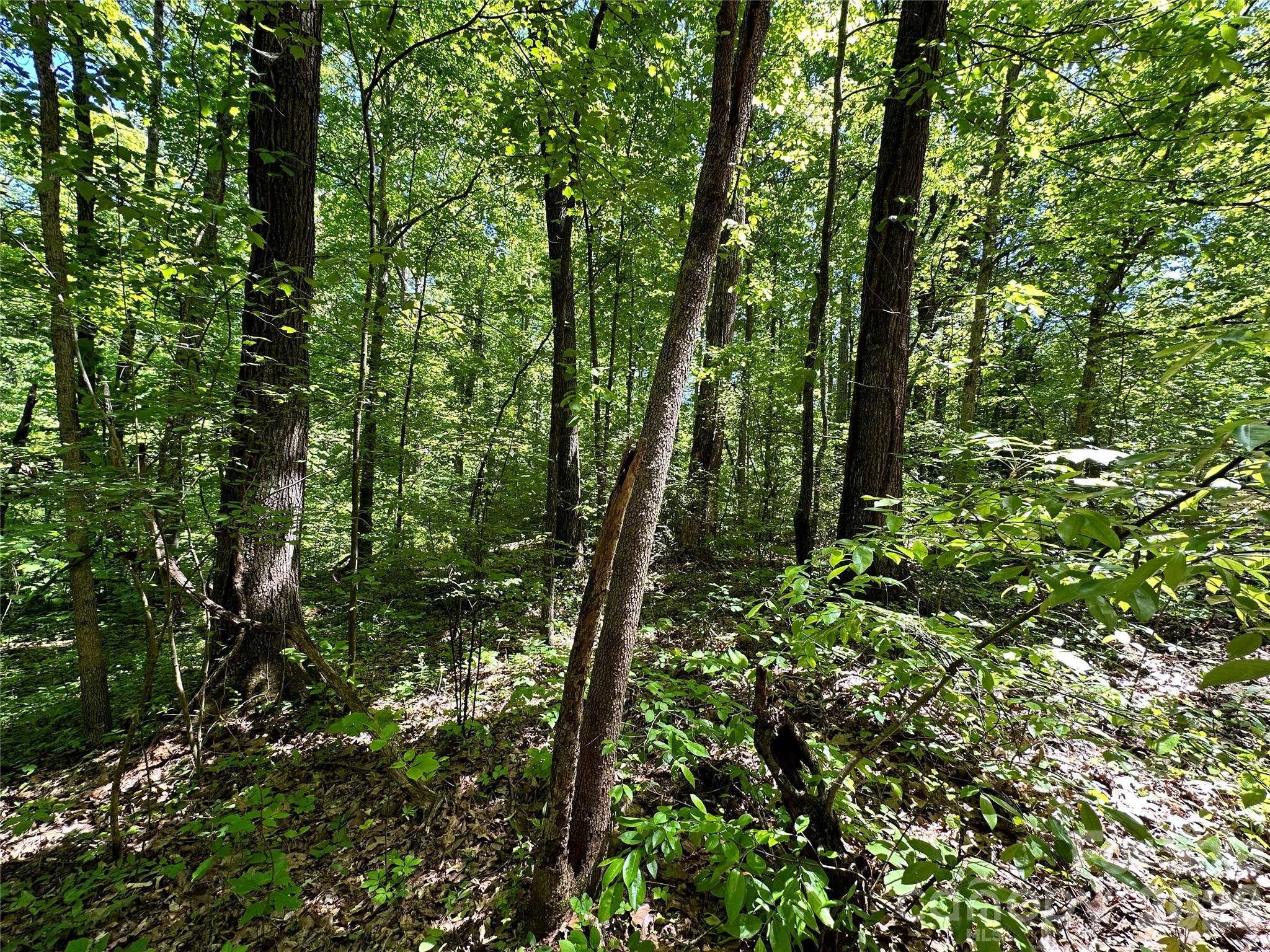 #168 Rolling Road Property Photo 16