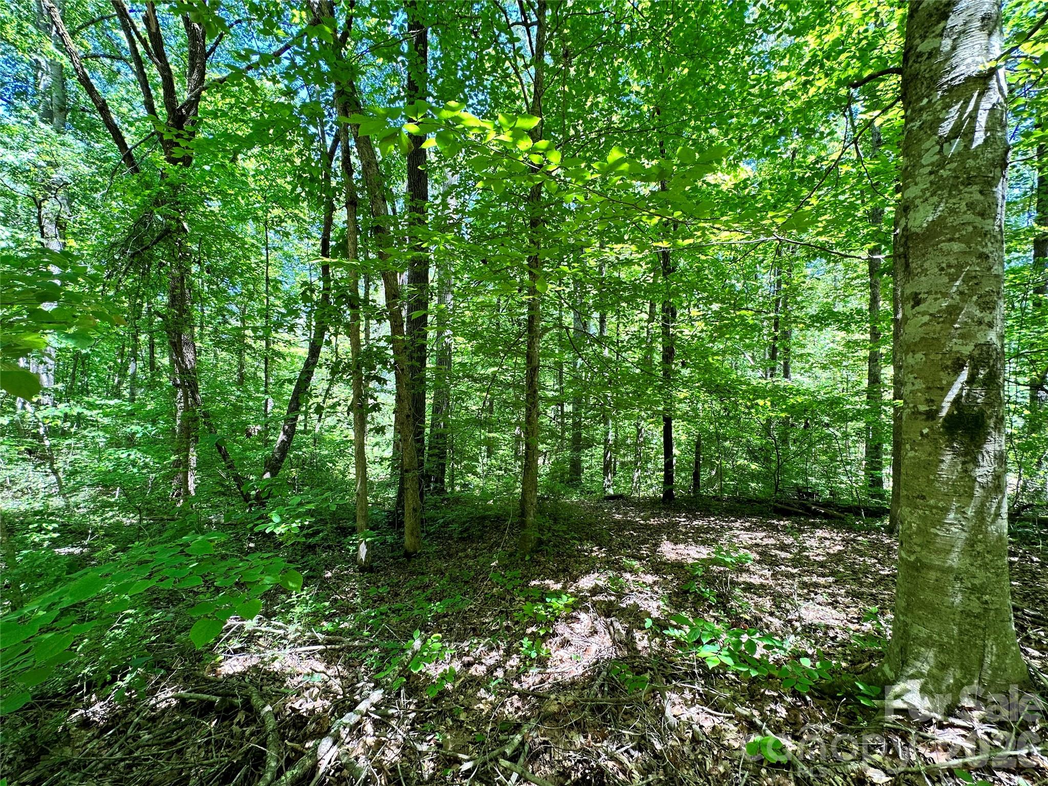 #168 Rolling Road Property Photo 18