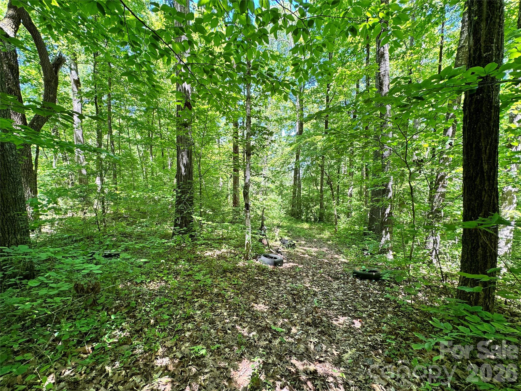 #168 Rolling Road Property Photo 20