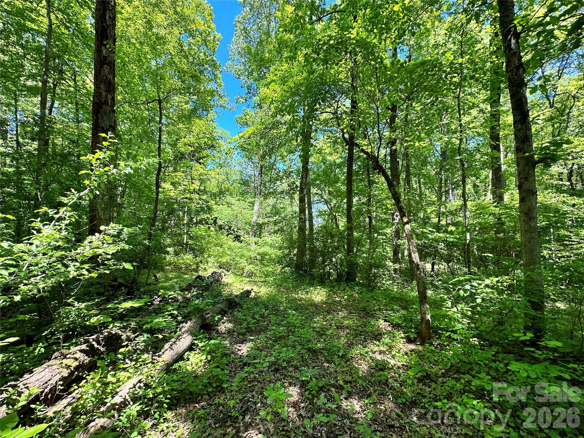 #168 Rolling Road Property Photo 21