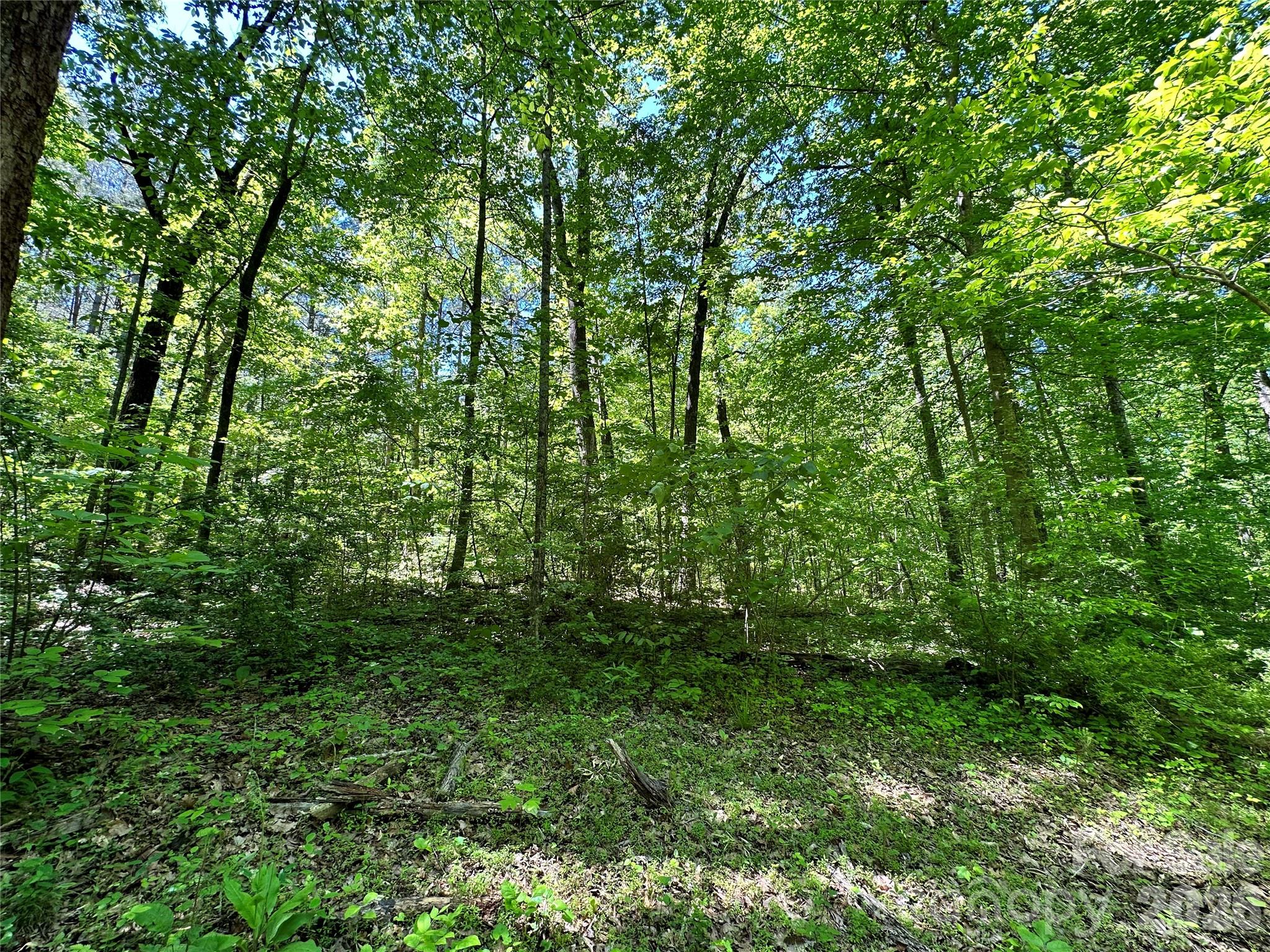 #168 Rolling Road Property Photo 22