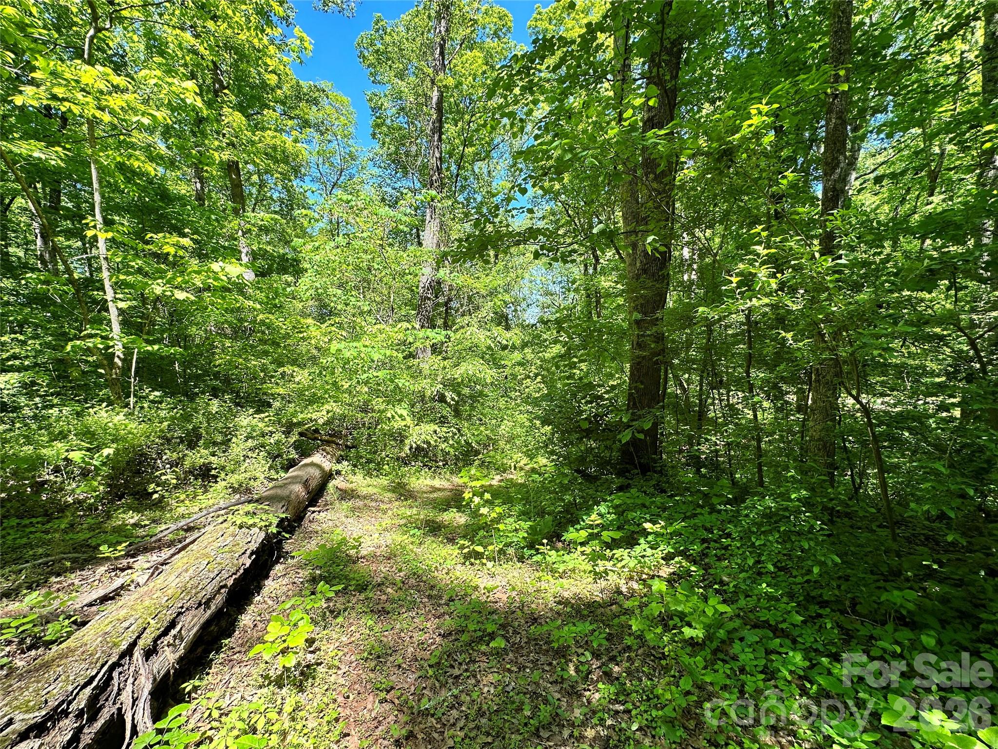 #168 Rolling Road Property Photo 23