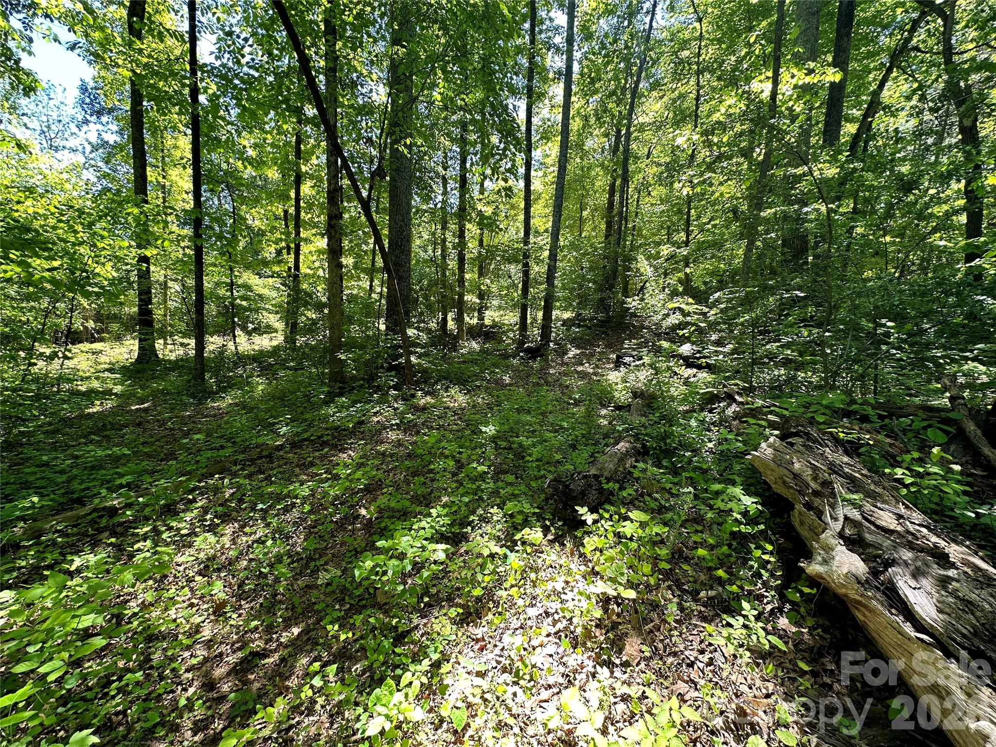 #168 Rolling Road Property Photo 24