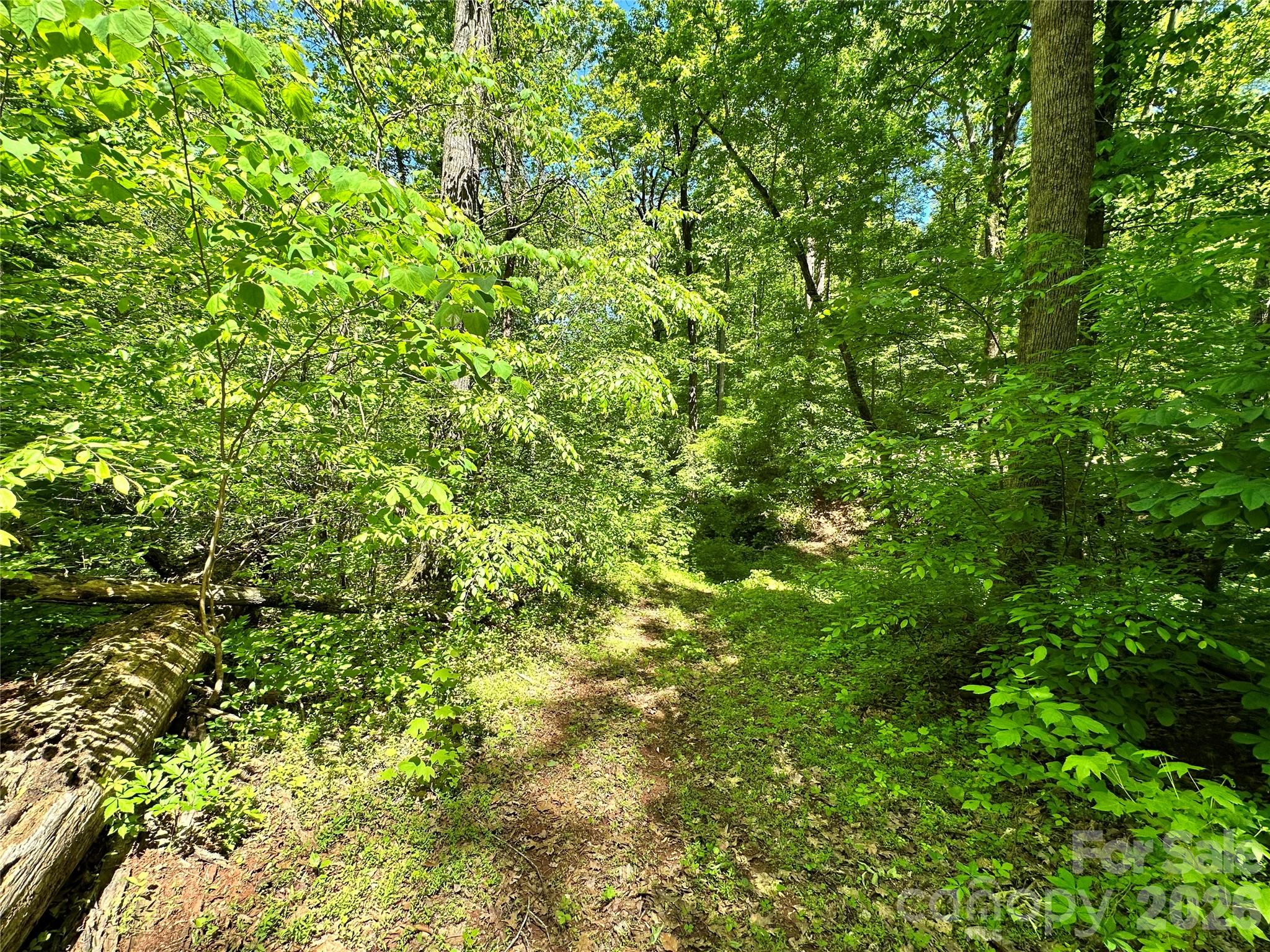 #168 Rolling Road Property Photo 25