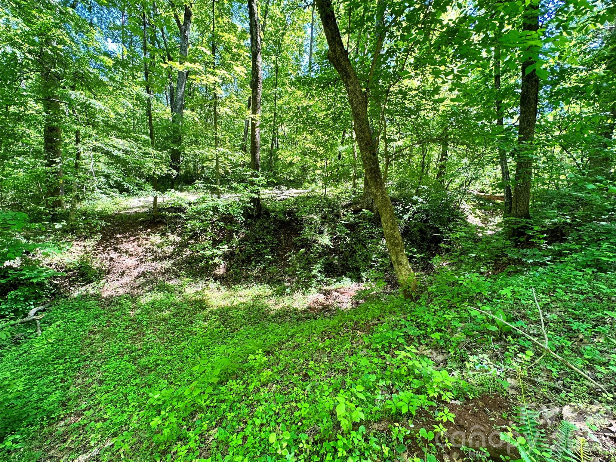 #168 Rolling Road Property Photo 26