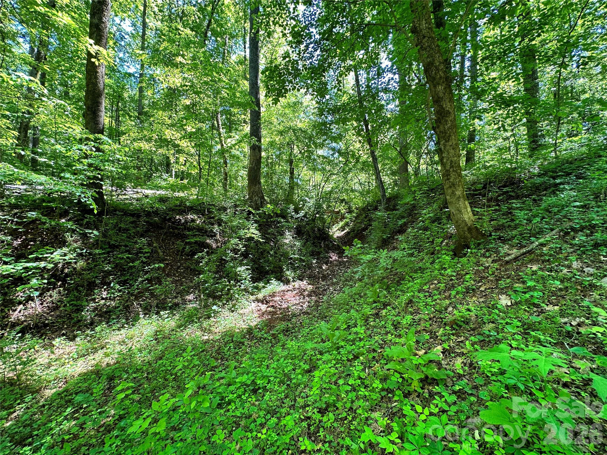 #168 Rolling Road Property Photo 27