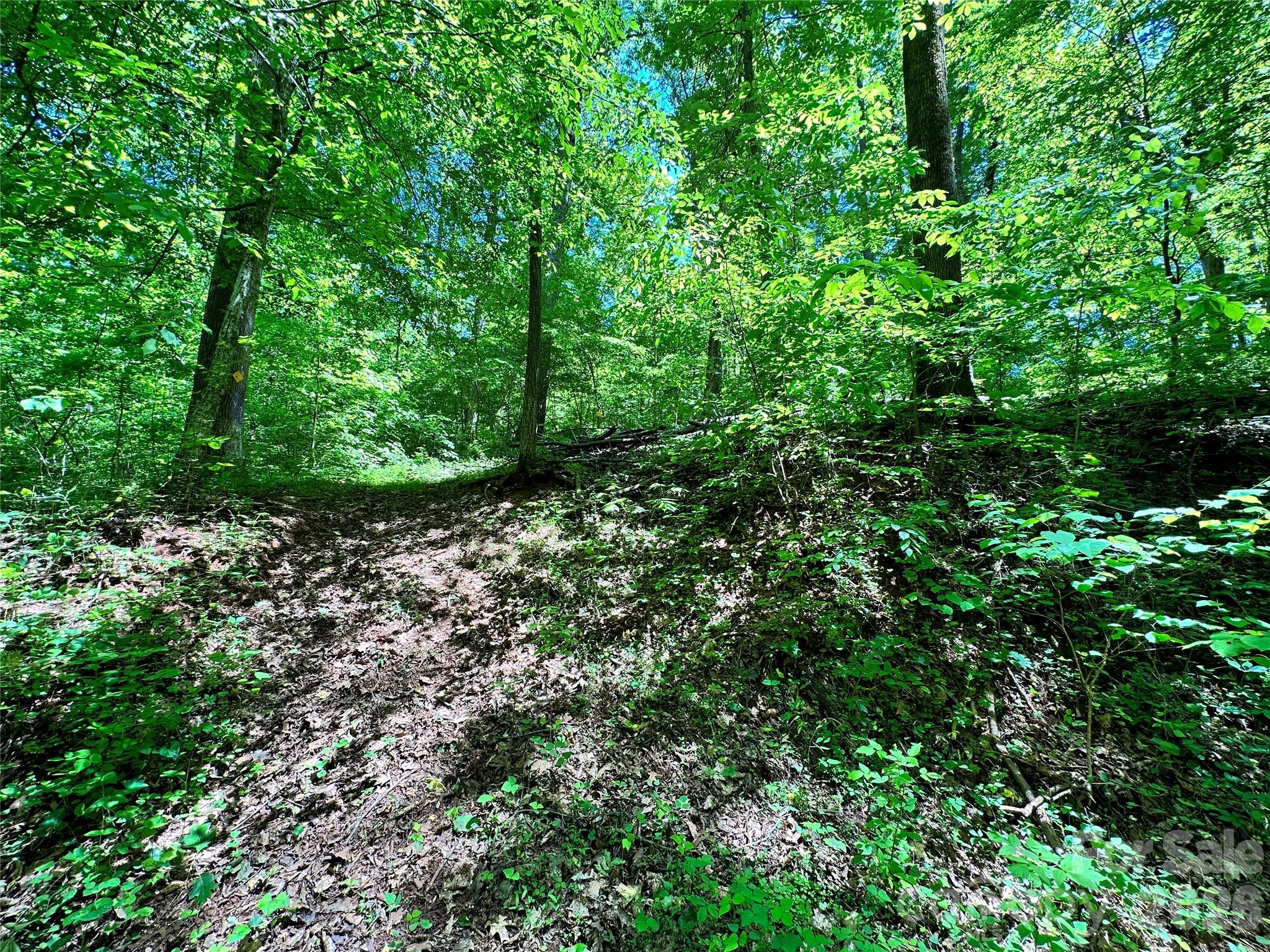 #168 Rolling Road Property Photo 28