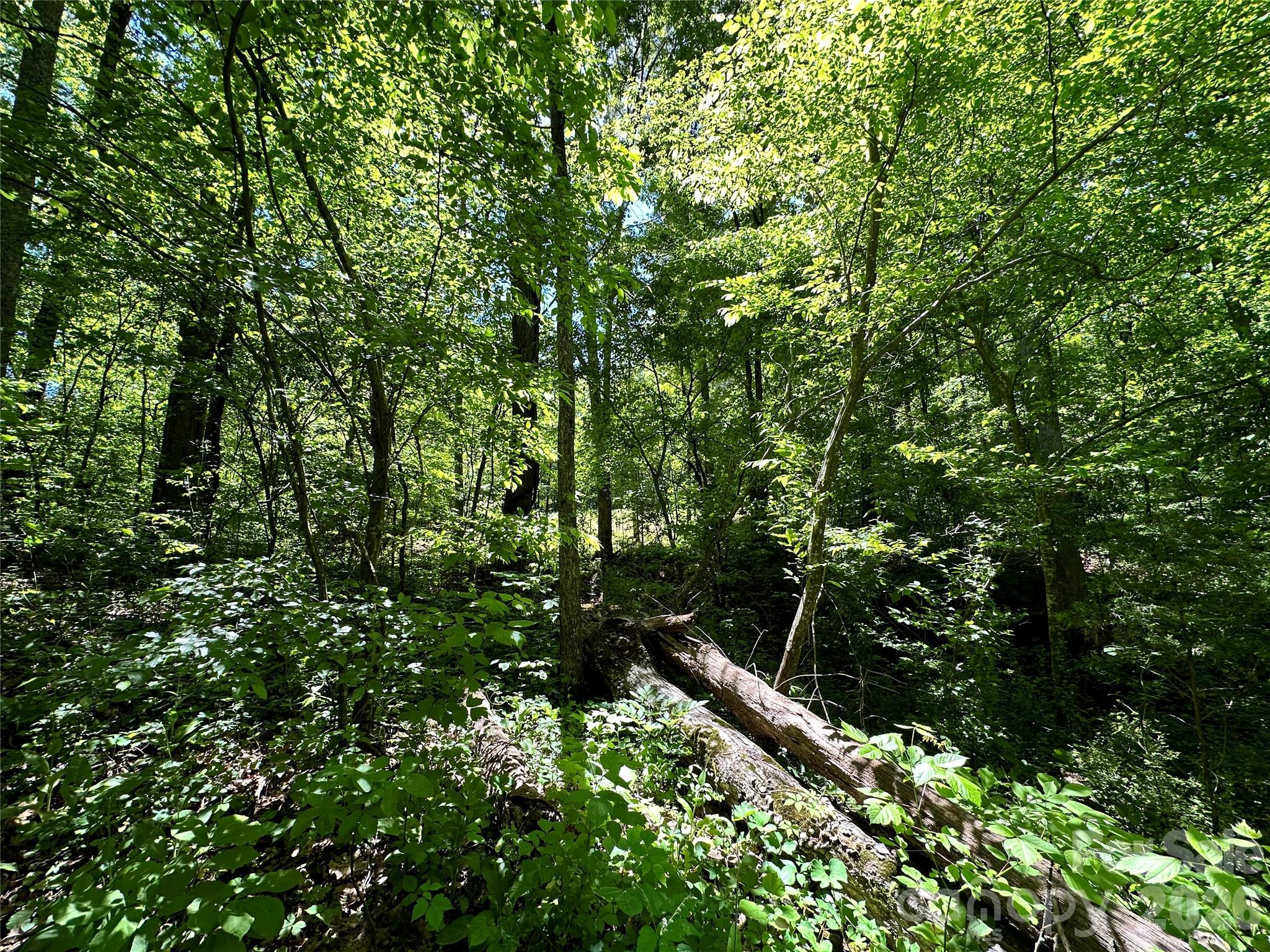 #168 Rolling Road Property Photo 31
