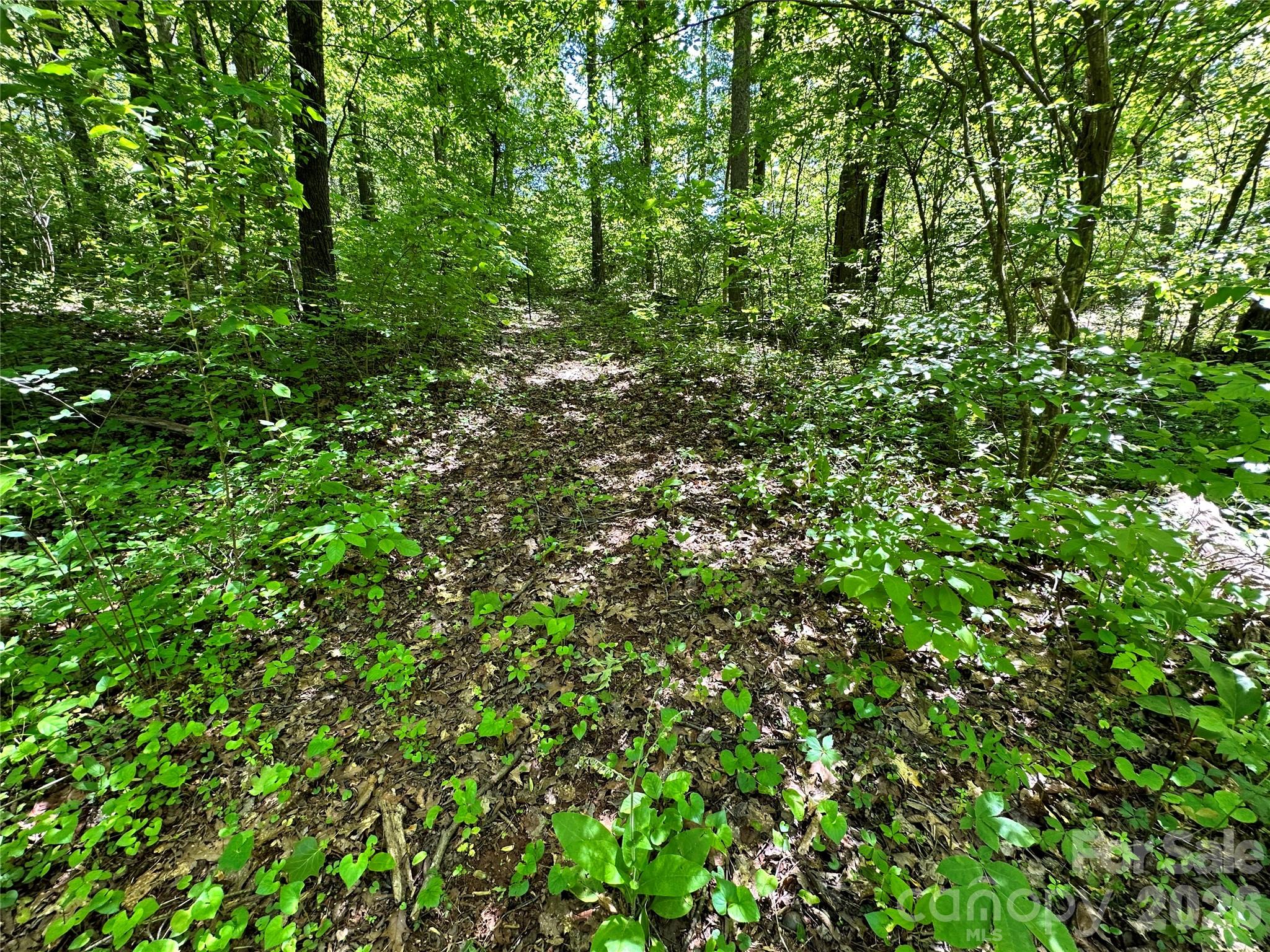 #168 Rolling Road Property Photo 32