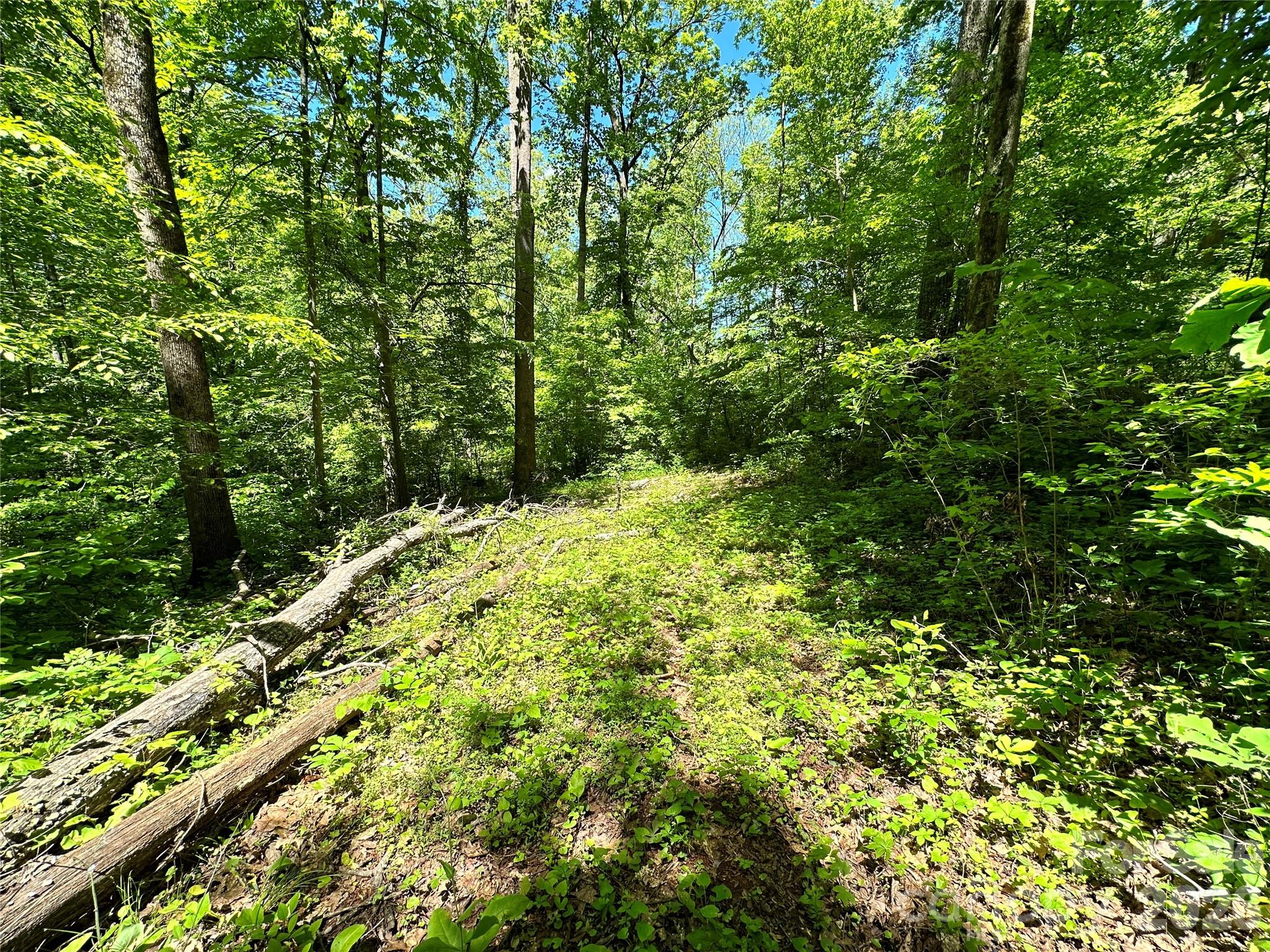 #168 Rolling Road Property Photo 33