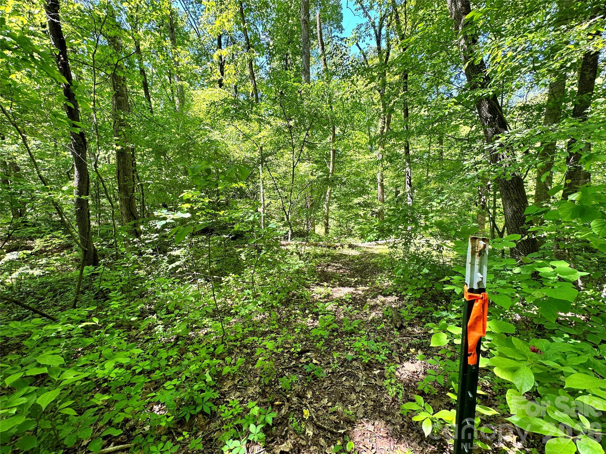 #168 Rolling Road Property Photo 34
