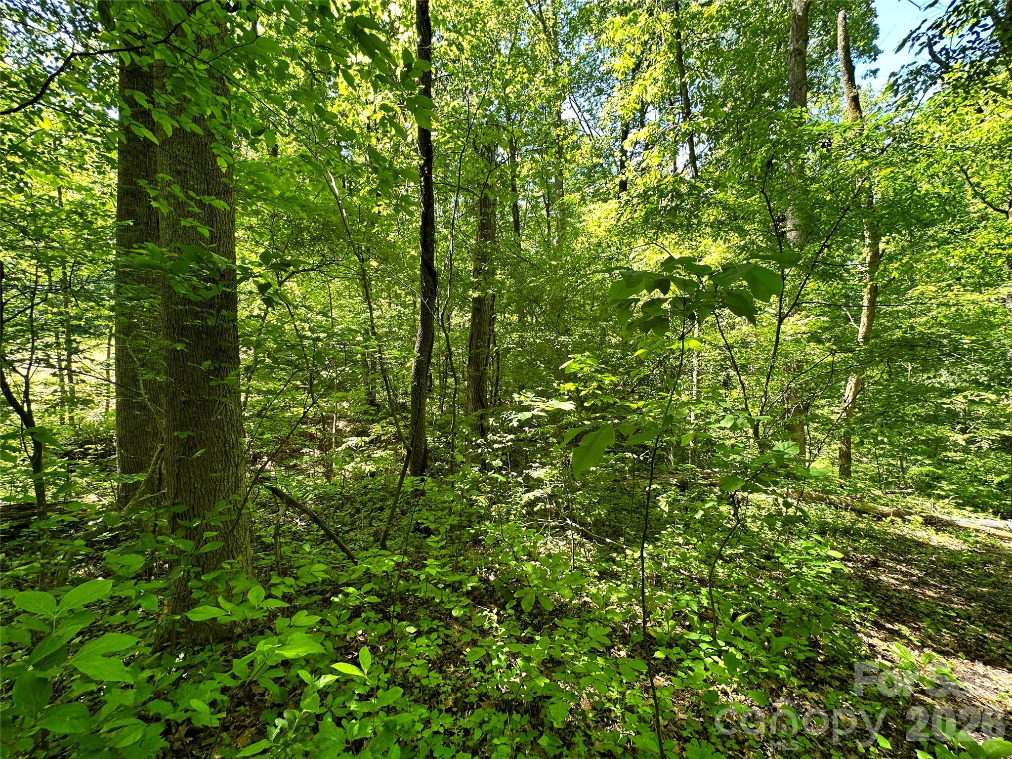 #168 Rolling Road Property Photo 35