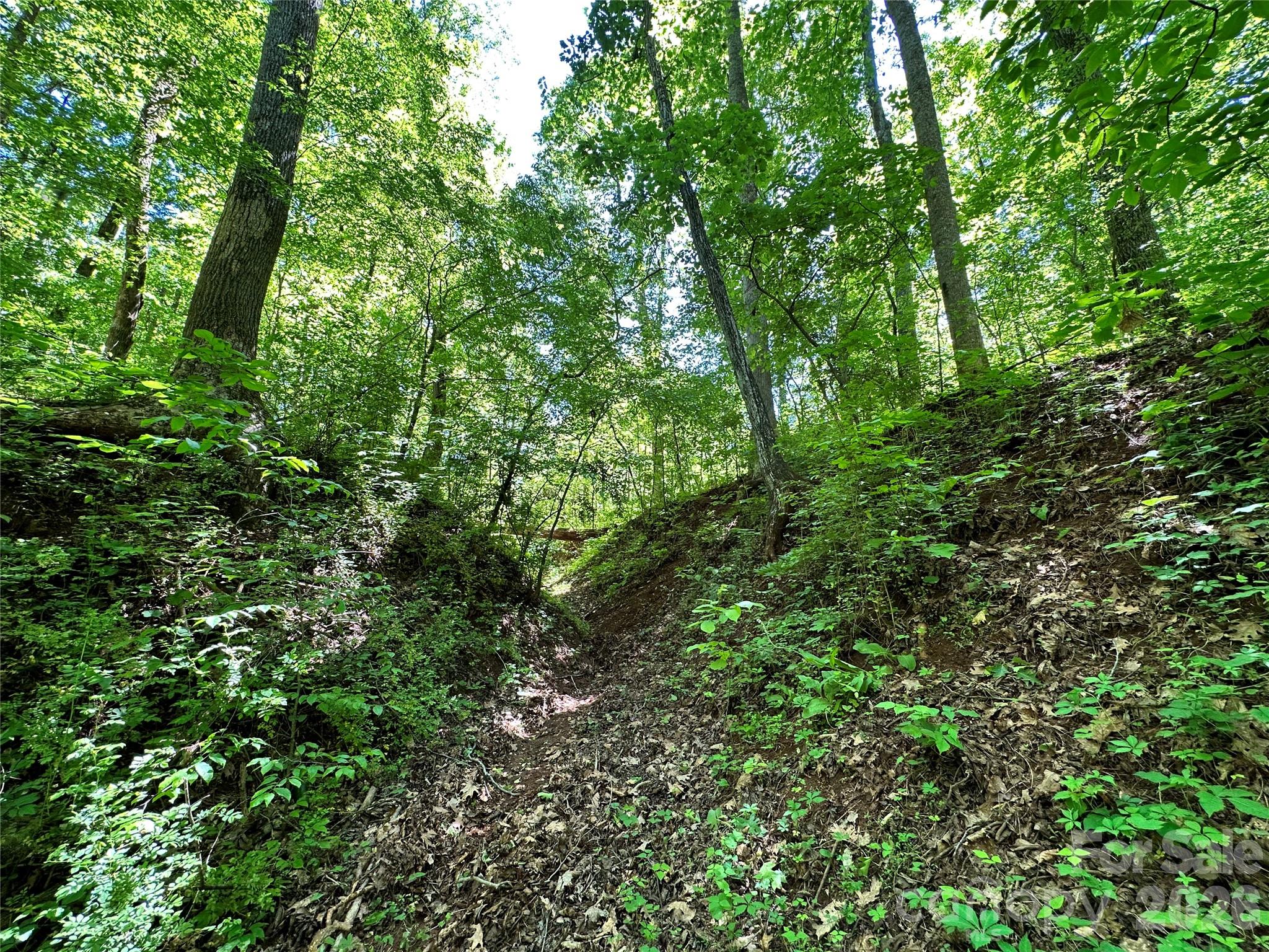 #168 Rolling Road Property Photo 38