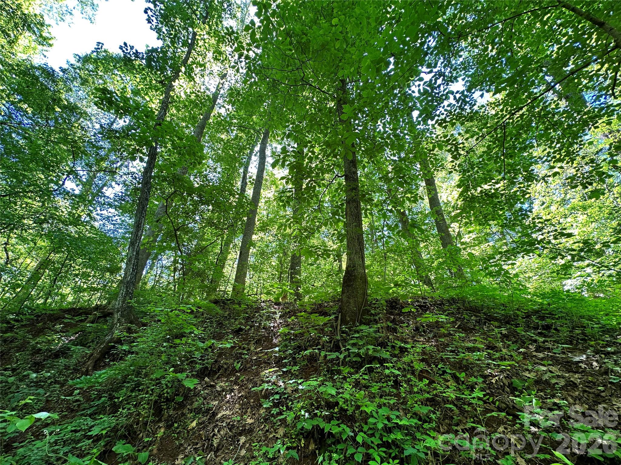 #168 Rolling Road Property Photo 39