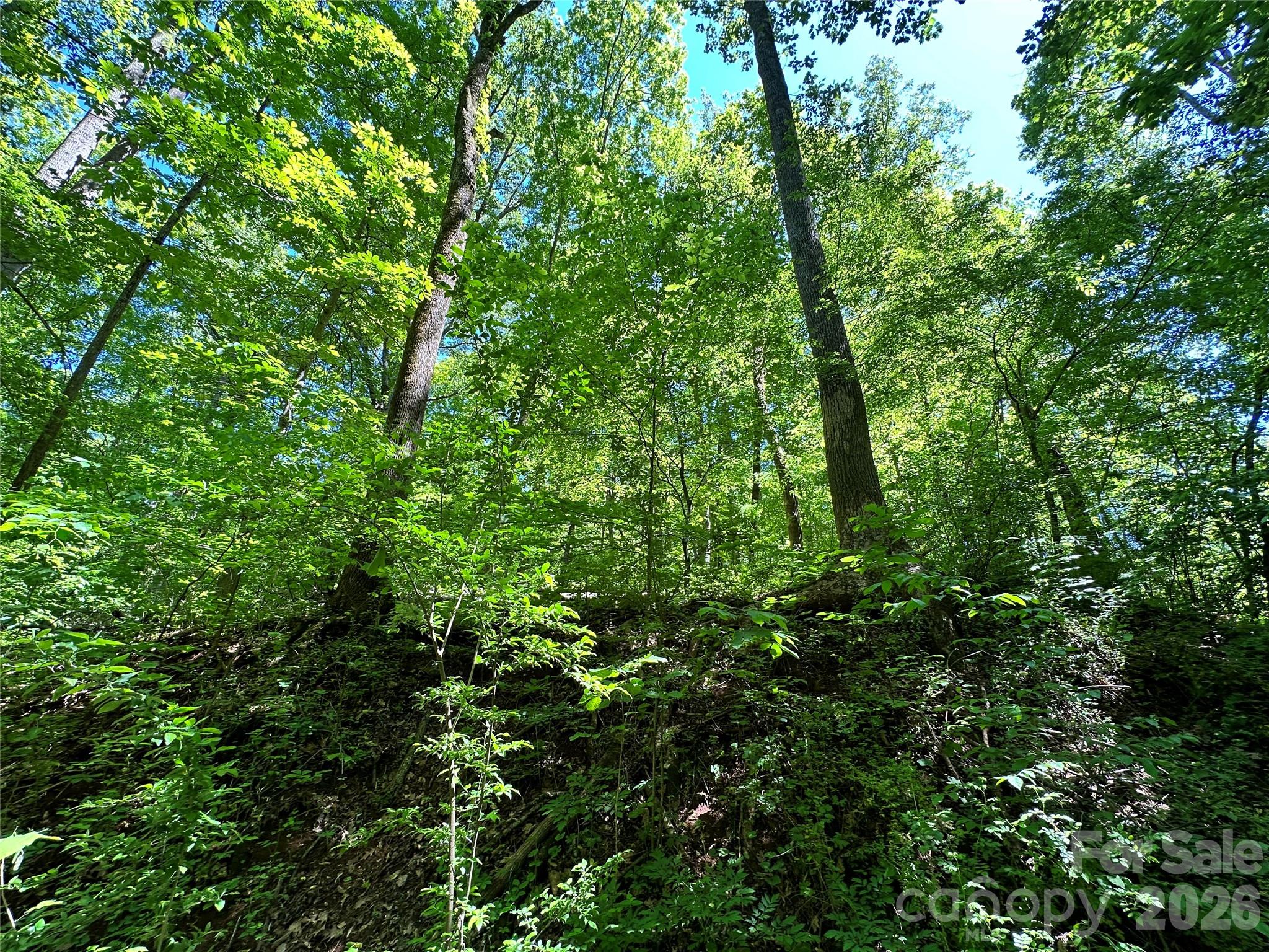 #168 Rolling Road Property Photo 40