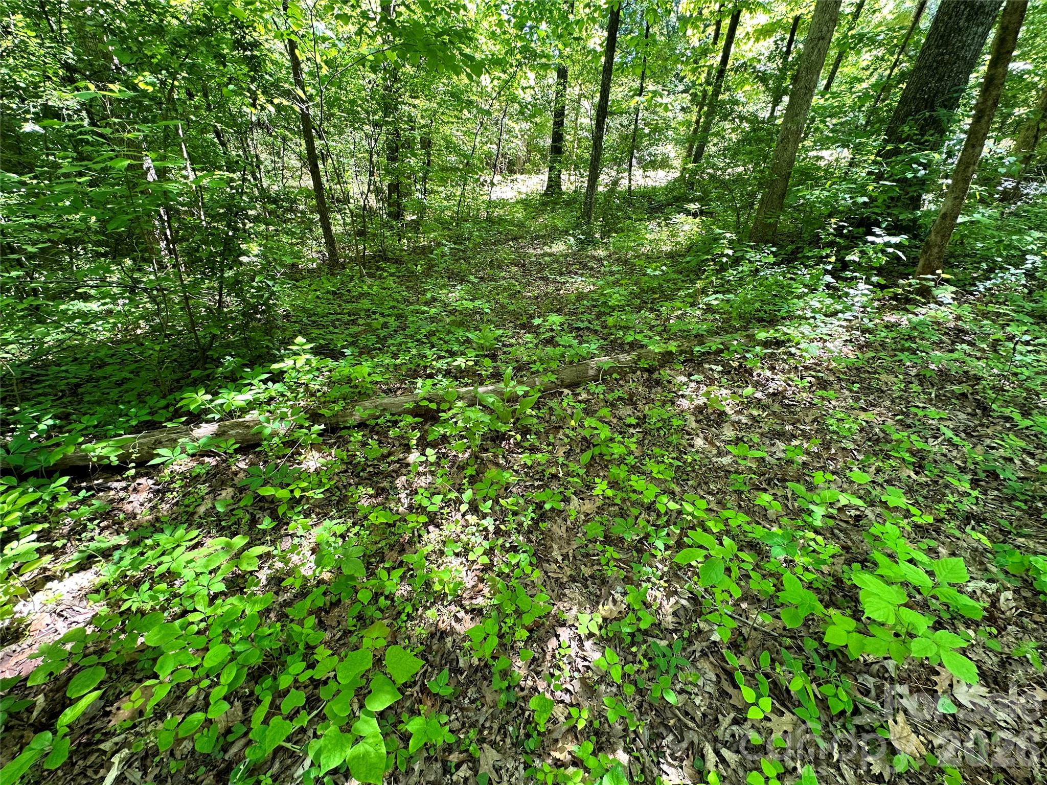 #168 Rolling Road Property Photo 41
