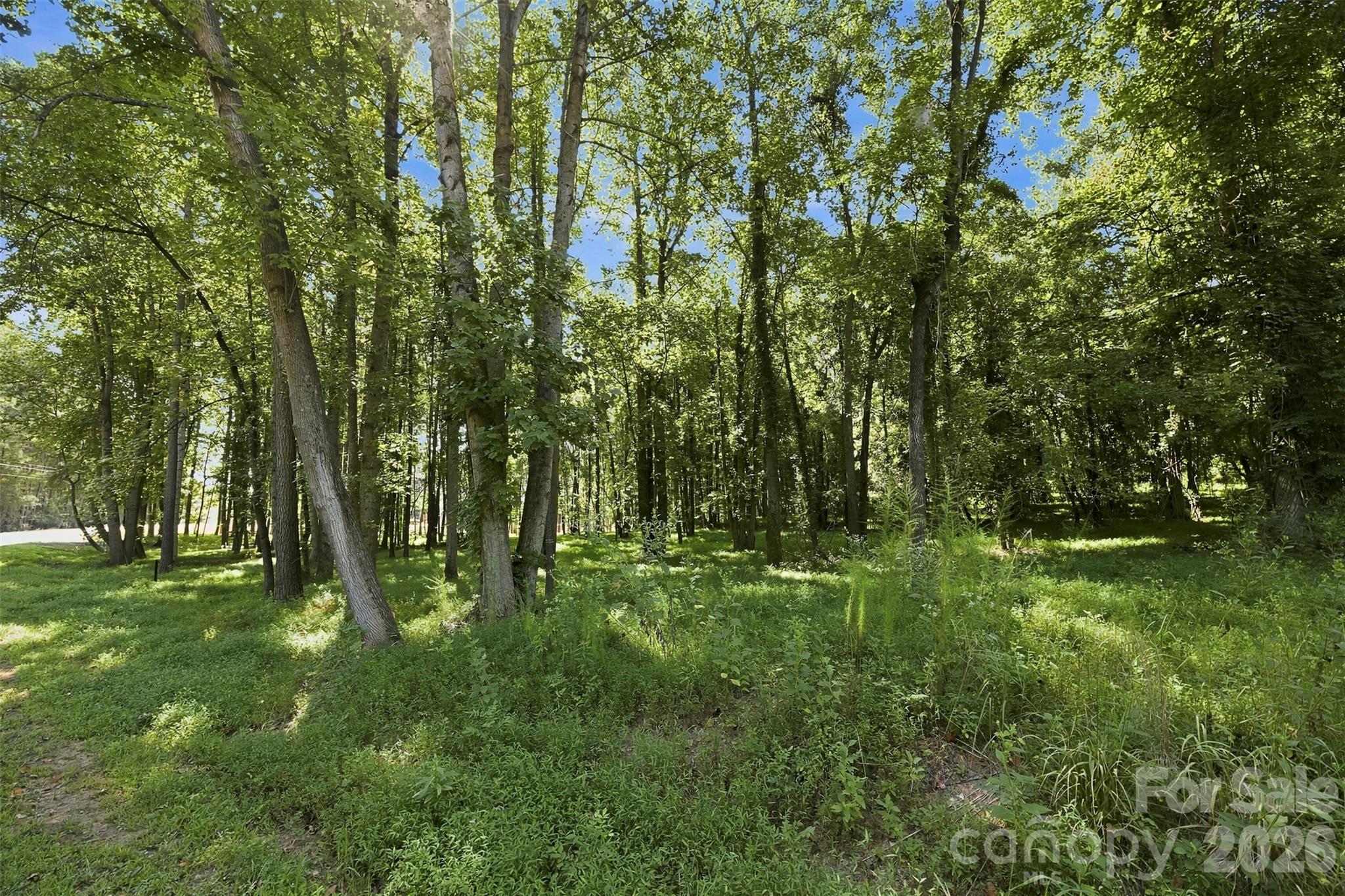 4277 Concord Road Property Photo 5