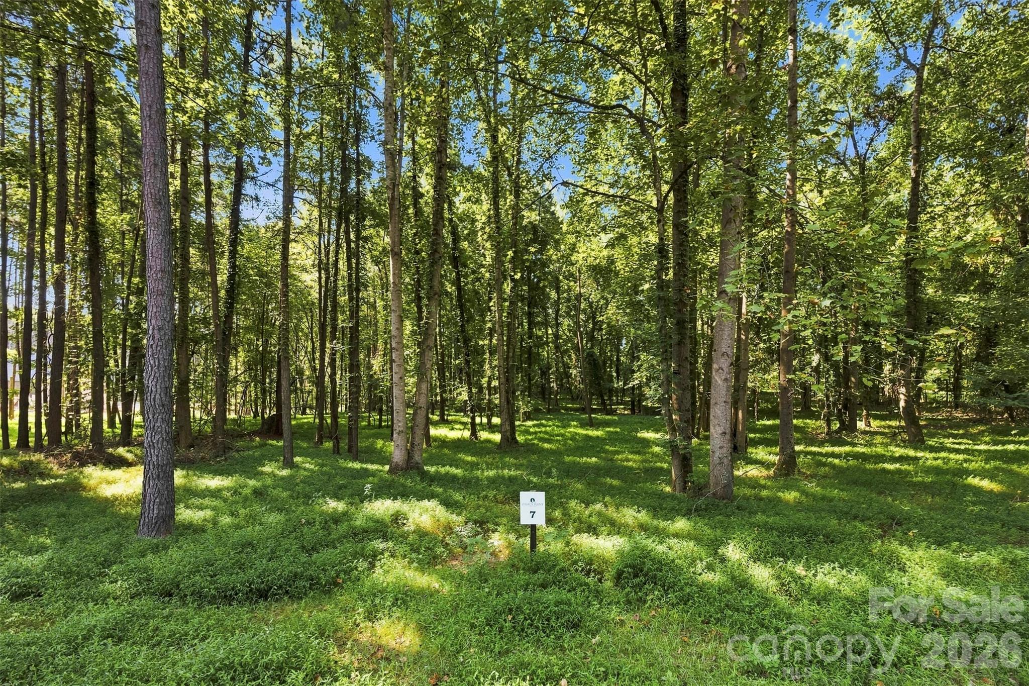 4277 Concord Road Property Photo 6