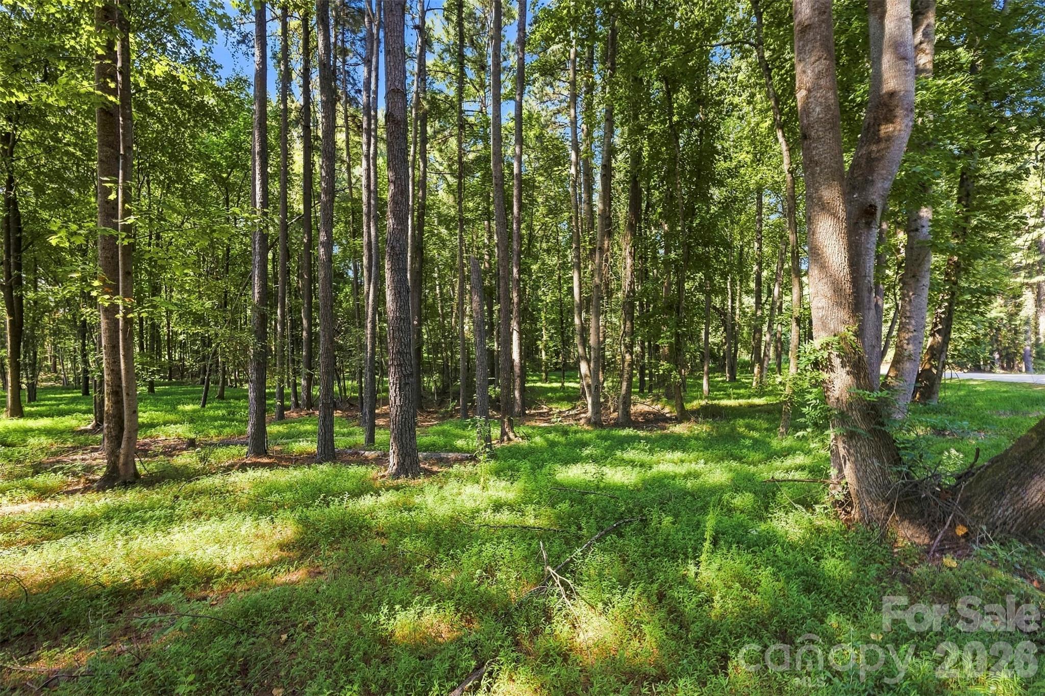 4277 Concord Road Property Photo 7