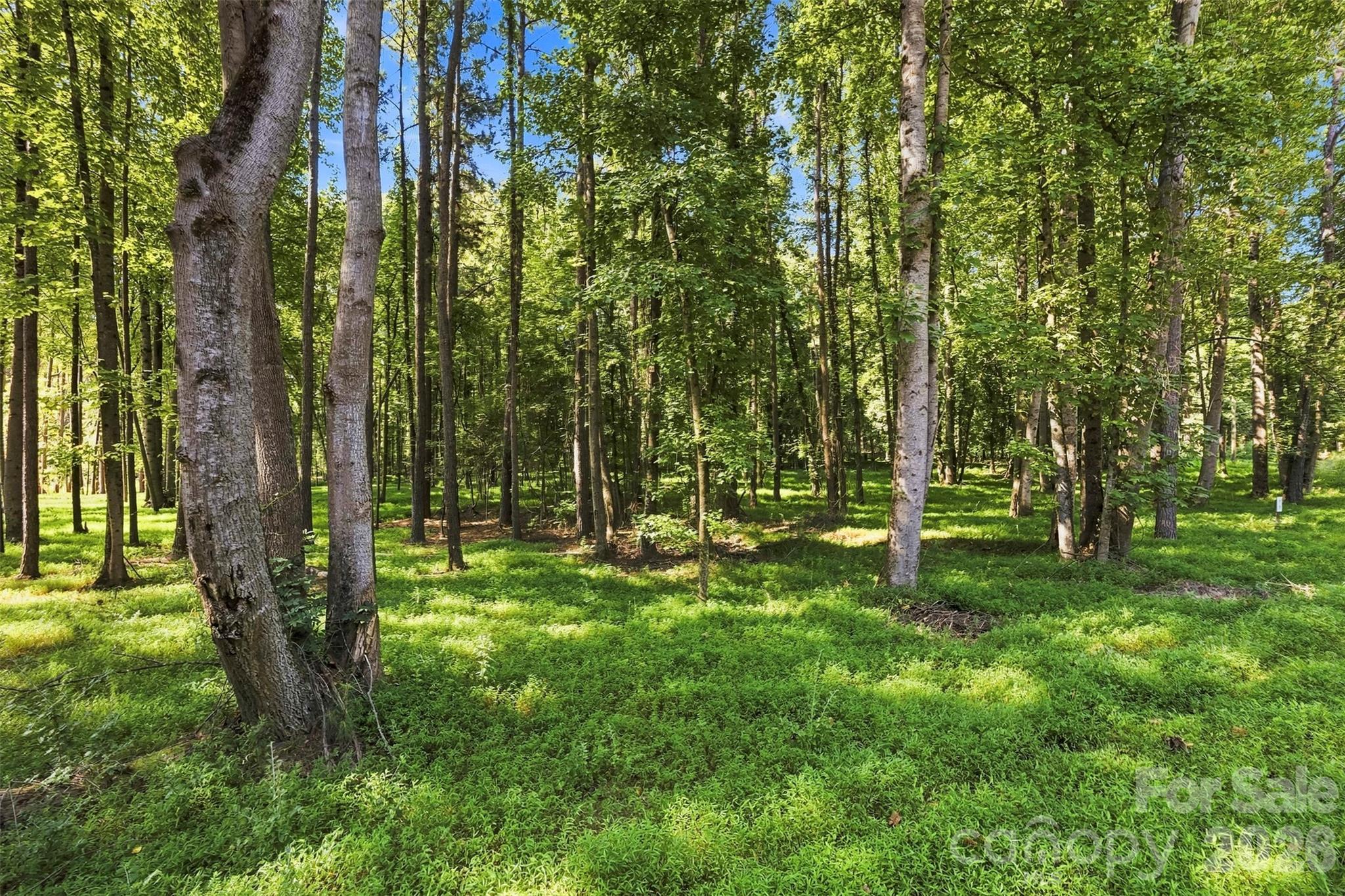 4277 Concord Road Property Photo 8