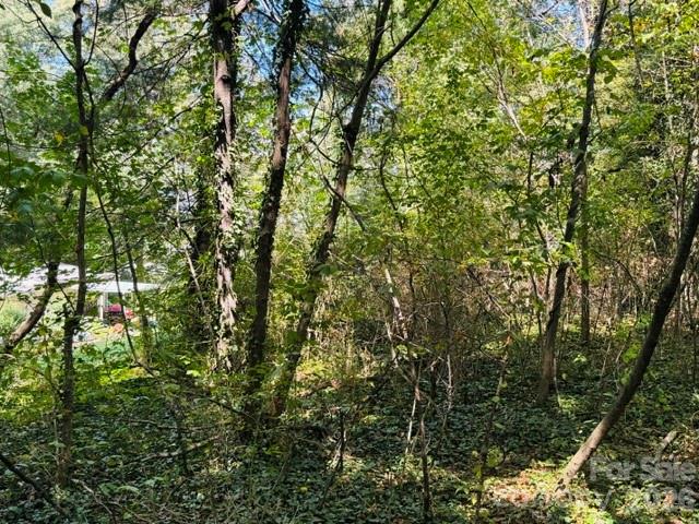 Tbd Hi Alta Avenue Property Photo 5