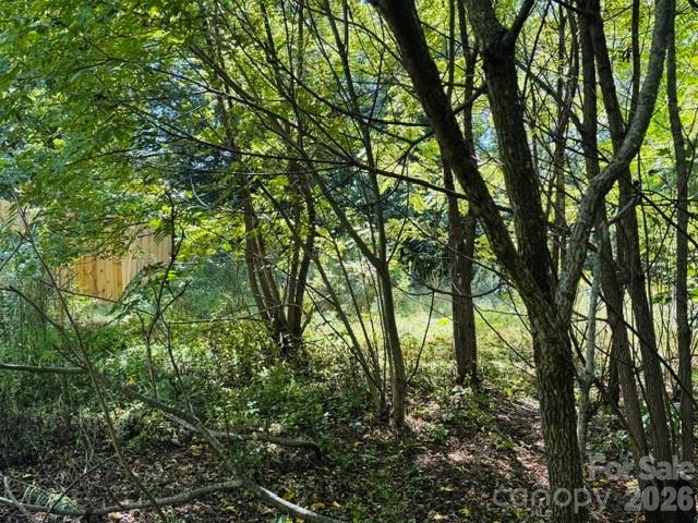 Tbd Hi Alta Avenue Property Photo 23