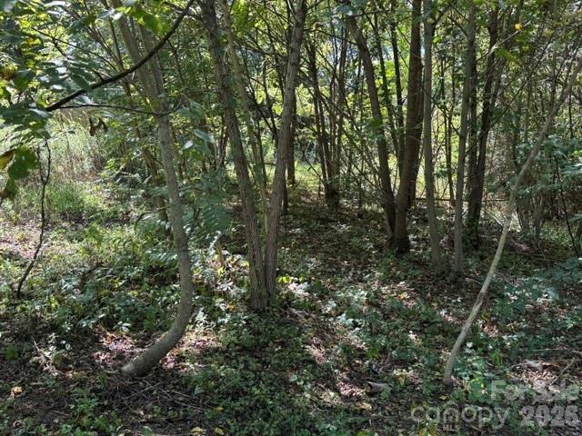 Tbd Hi Alta Avenue Property Photo 29