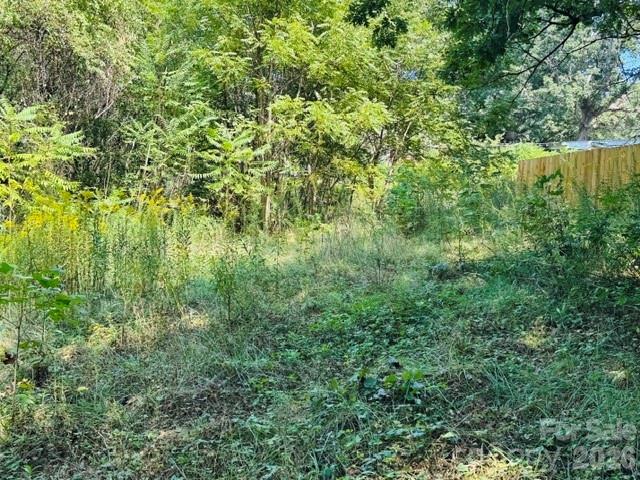 Tbd Hi Alta Avenue Property Photo 35