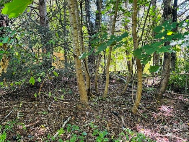 Tbd Hi Alta Avenue Property Photo 36