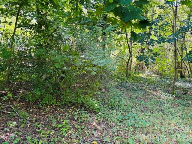 Tbd Hi Alta Avenue Property Photo 37