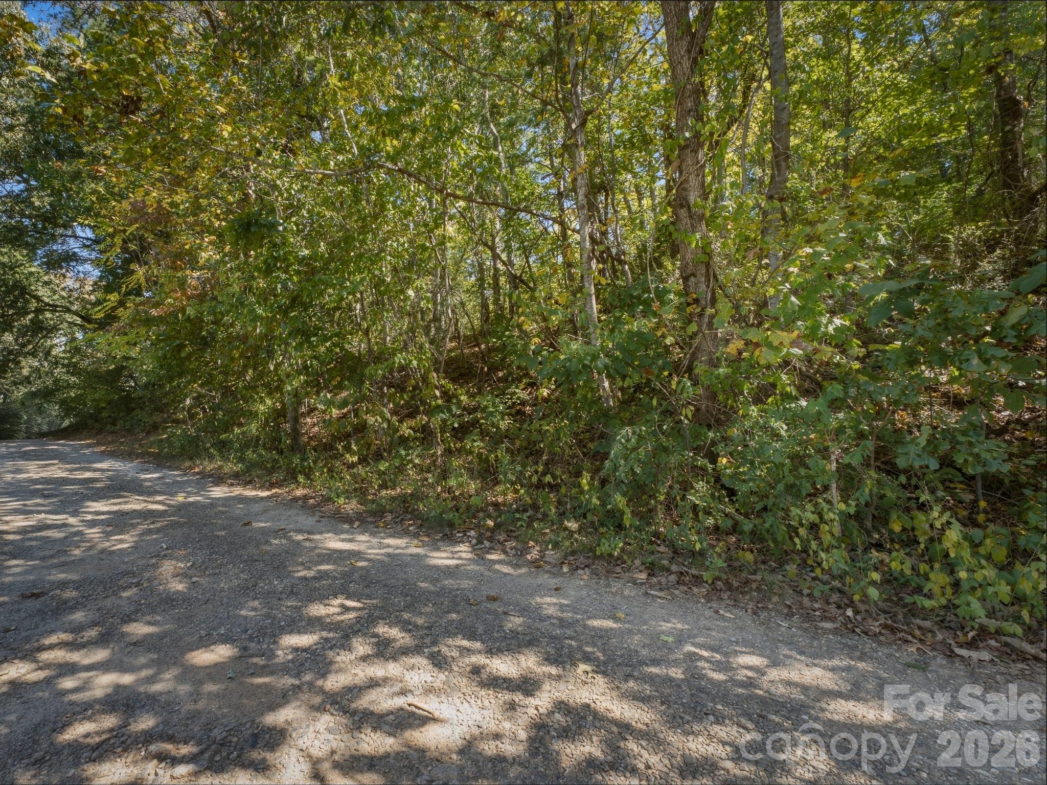 Tbd Hi Alta Avenue Property Photo 39