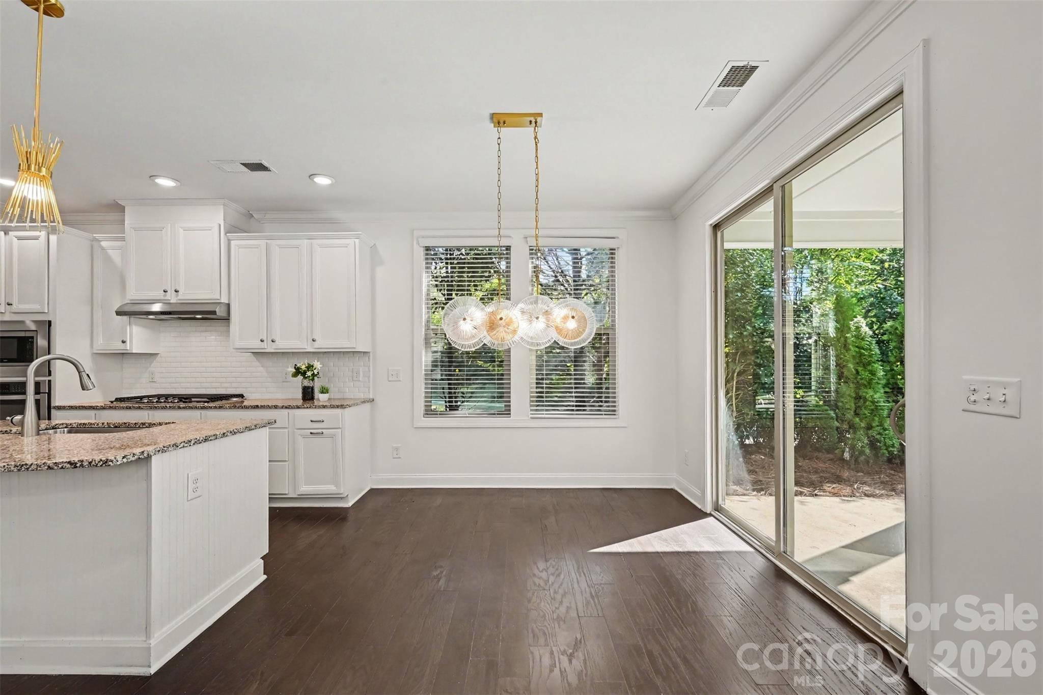 15209 Great Future Drive Property Photo 8