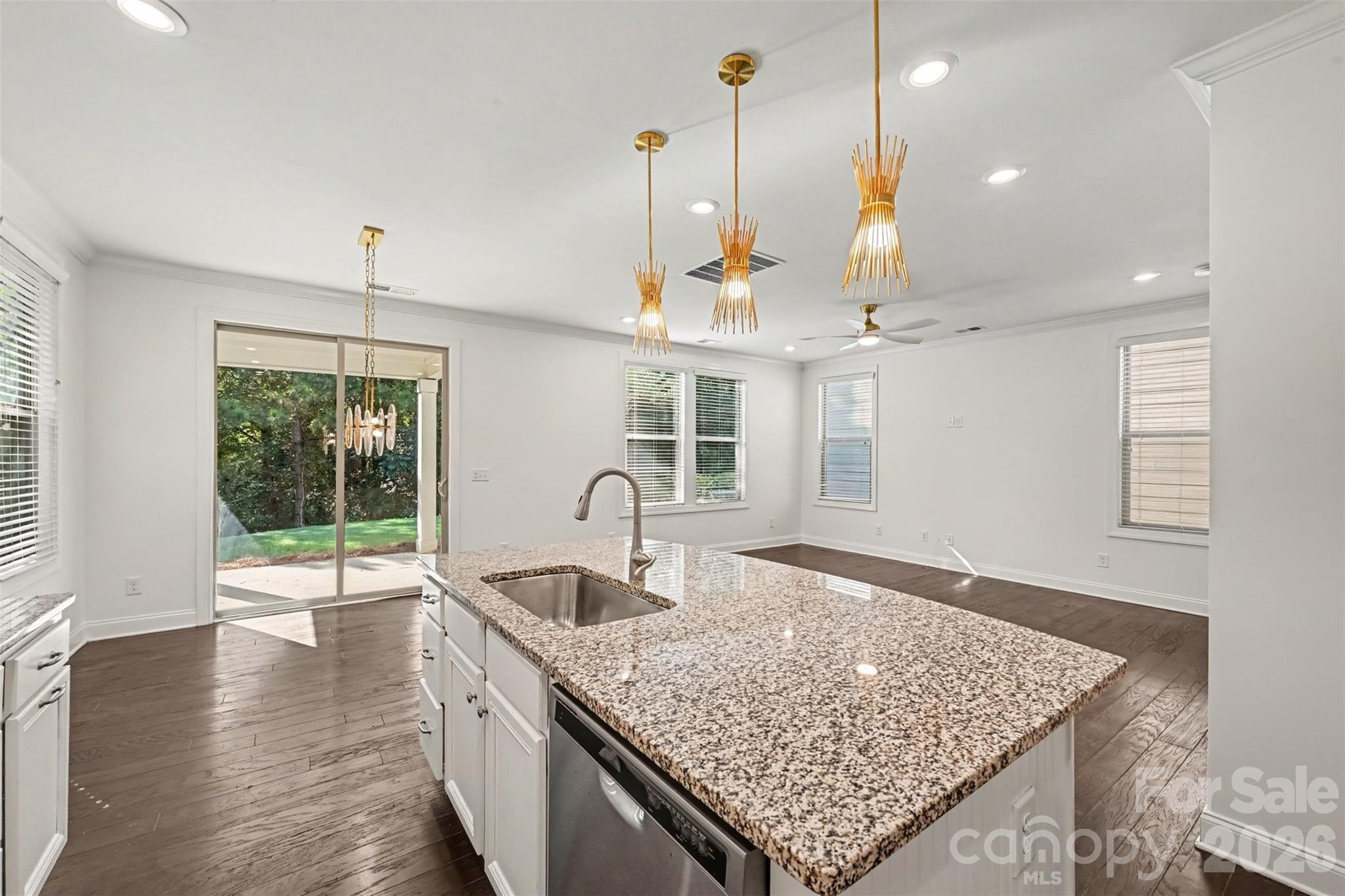 15209 Great Future Drive Property Photo 10