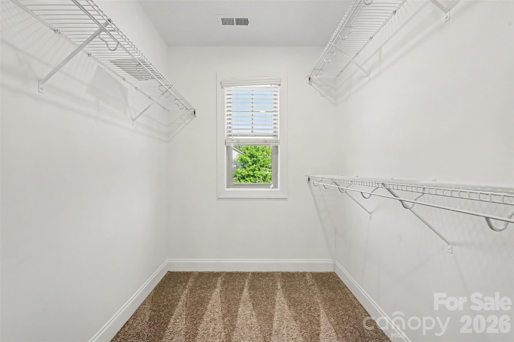 15209 Great Future Drive Property Photo 15