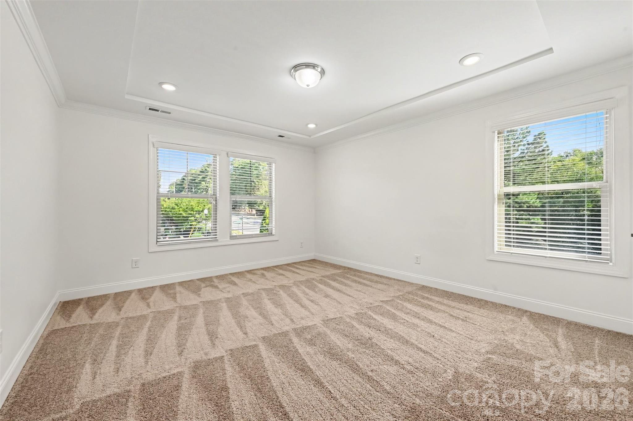 15209 Great Future Drive Property Photo 16