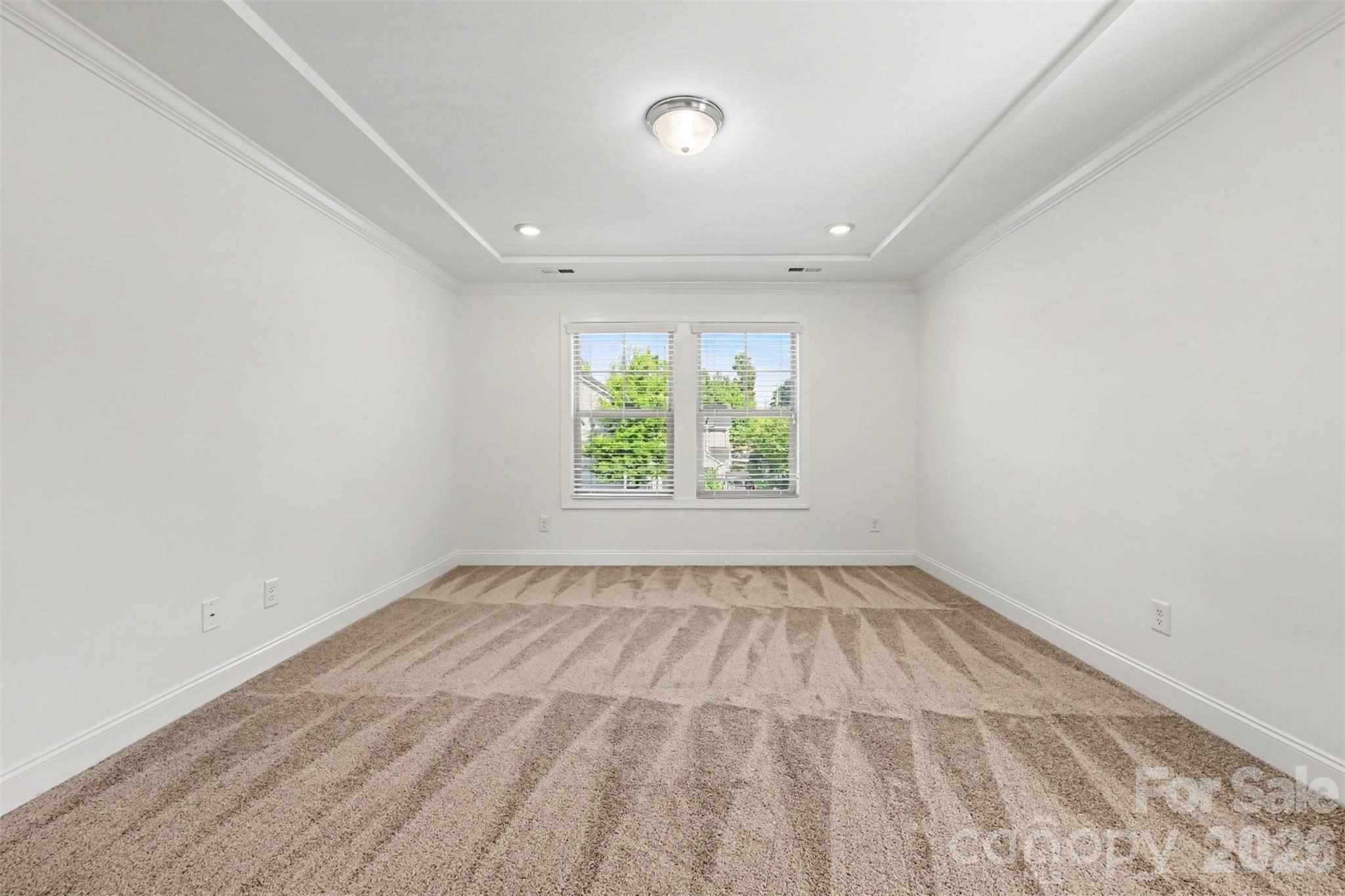 15209 Great Future Drive Property Photo 17