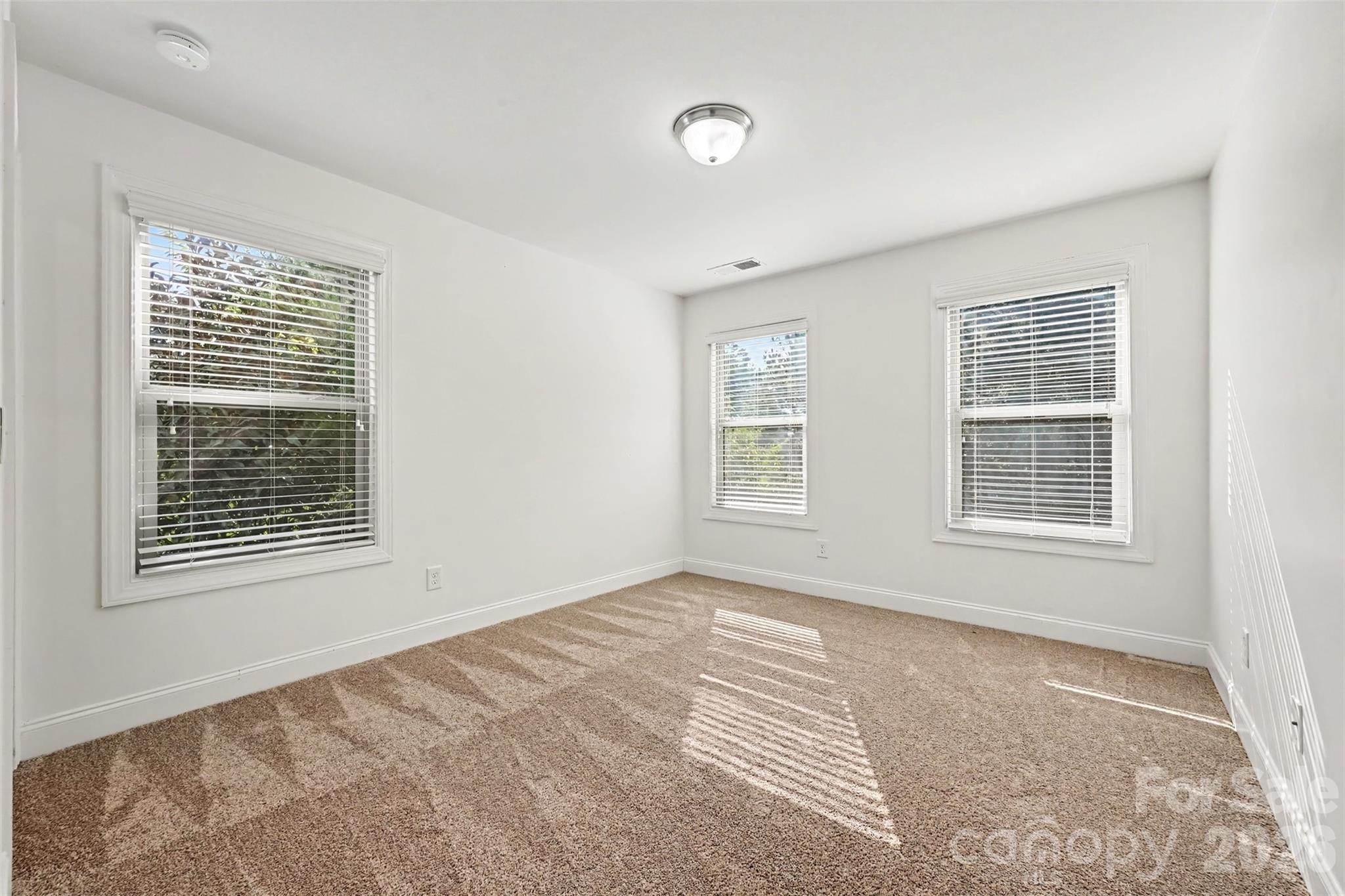 15209 Great Future Drive Property Photo 18