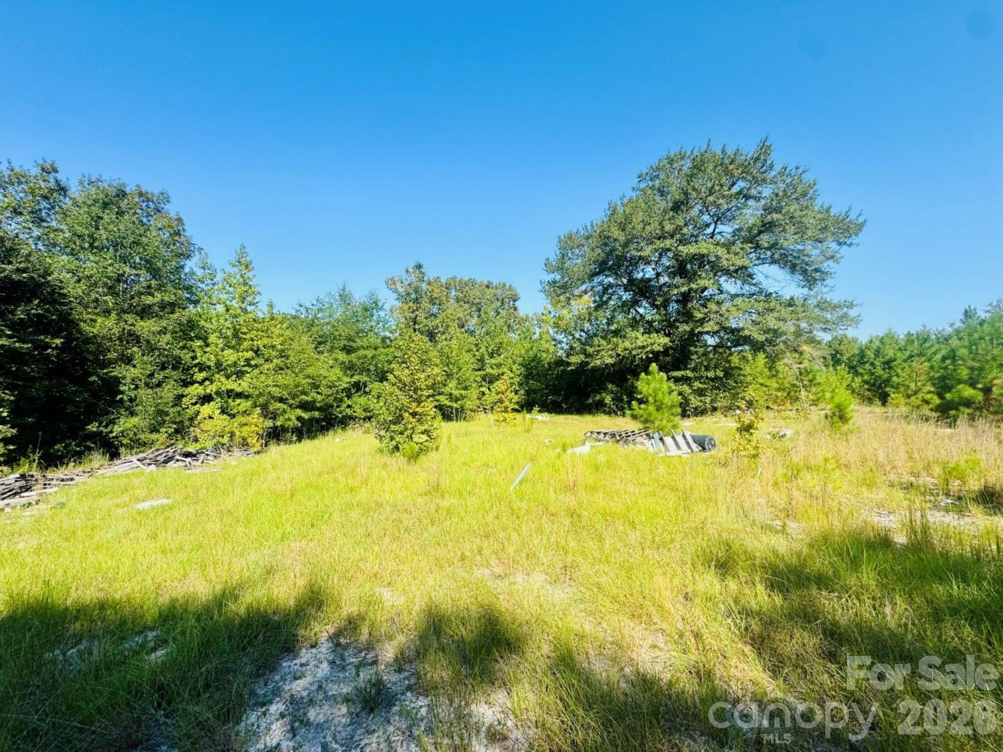 499 Mac Jowers Lane Property Photo 1