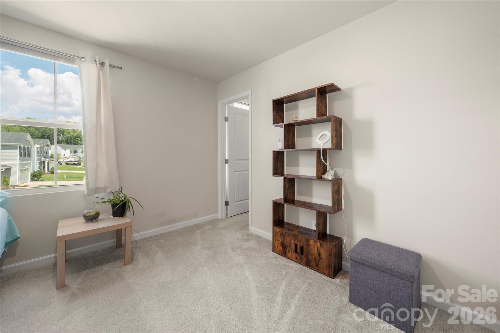 4101 Wild Ridge Drive Property Photo 24
