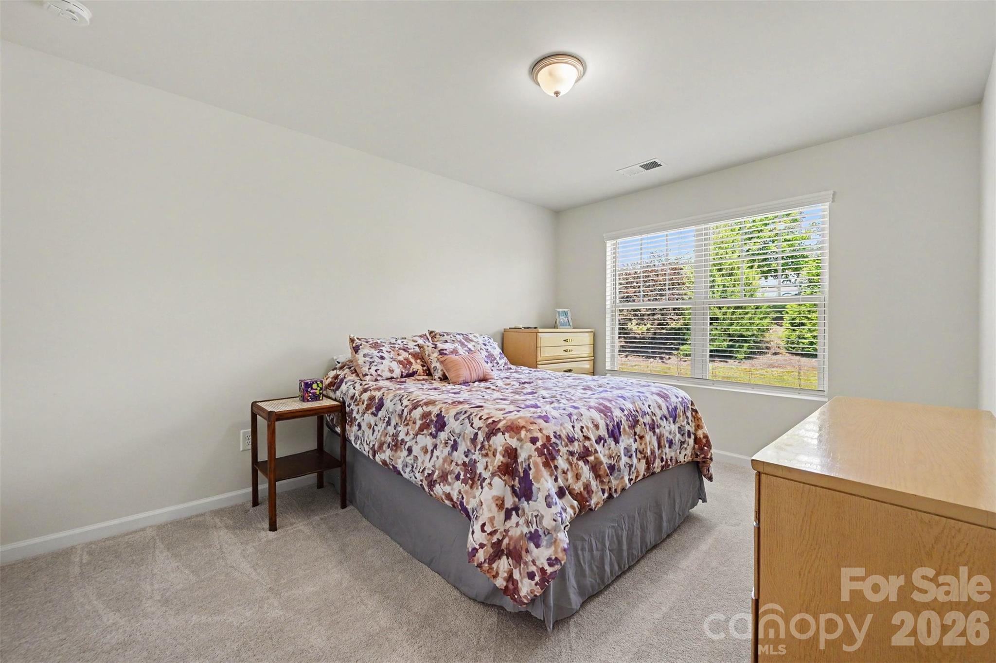 5388 Orchid Bloom Drive Property Photo 13
