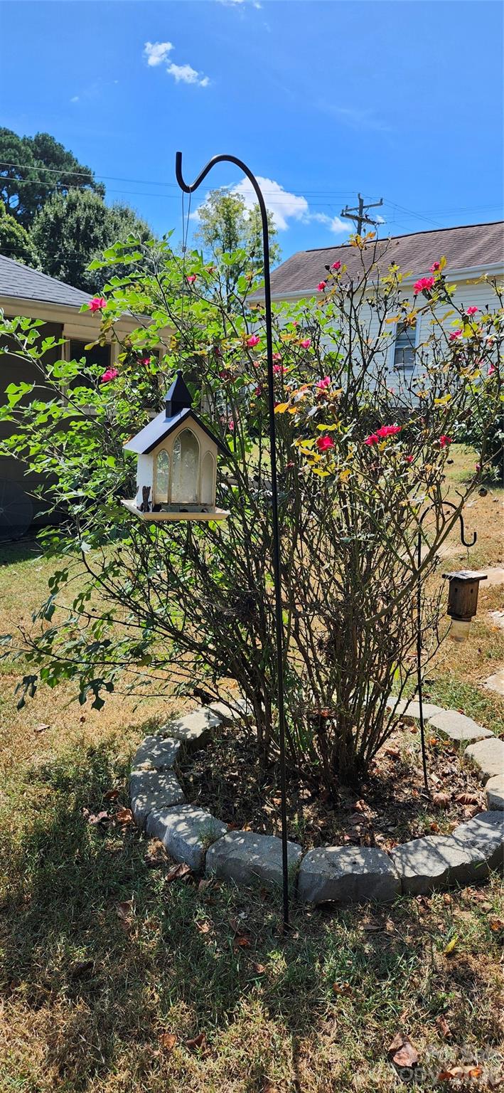 217 Tenth Street Property Photo 24