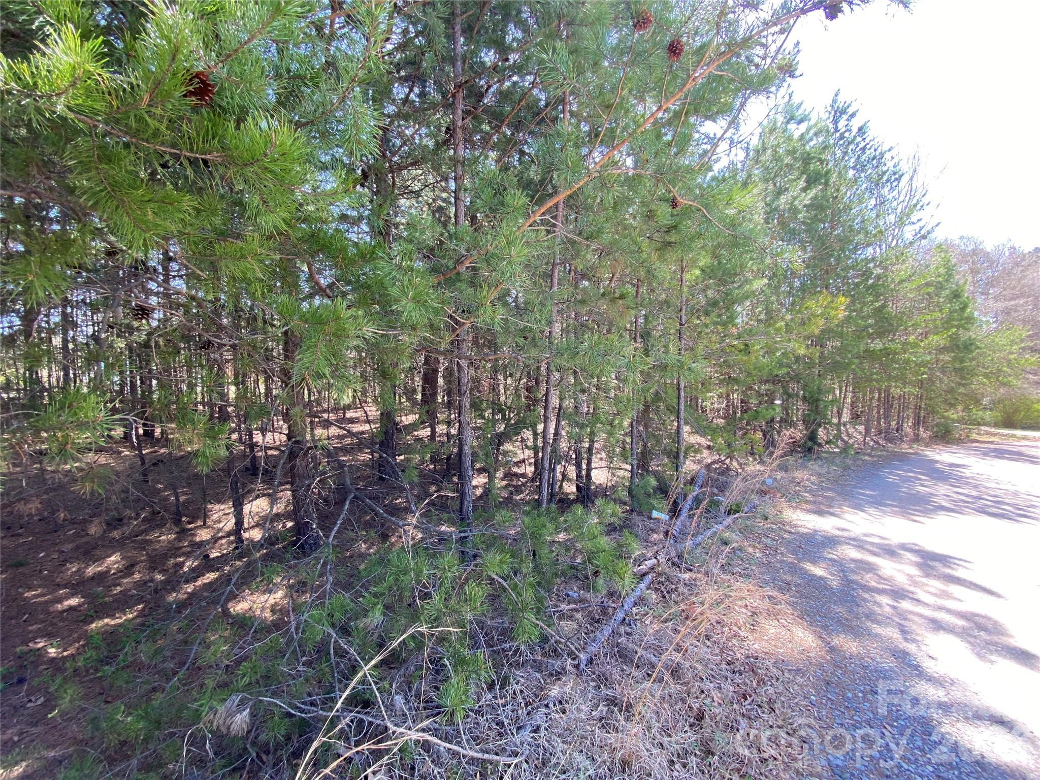 Next To 1670 Buck Oak Road Property Photo 1
