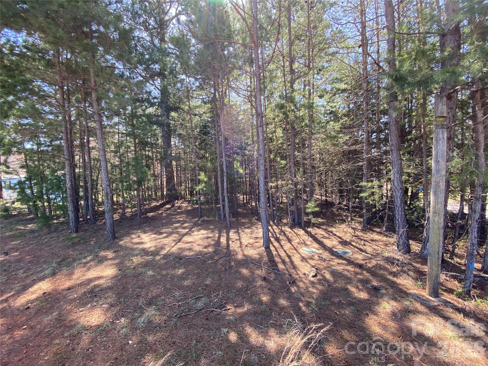 Next To 1670 Buck Oak Road Property Photo 3