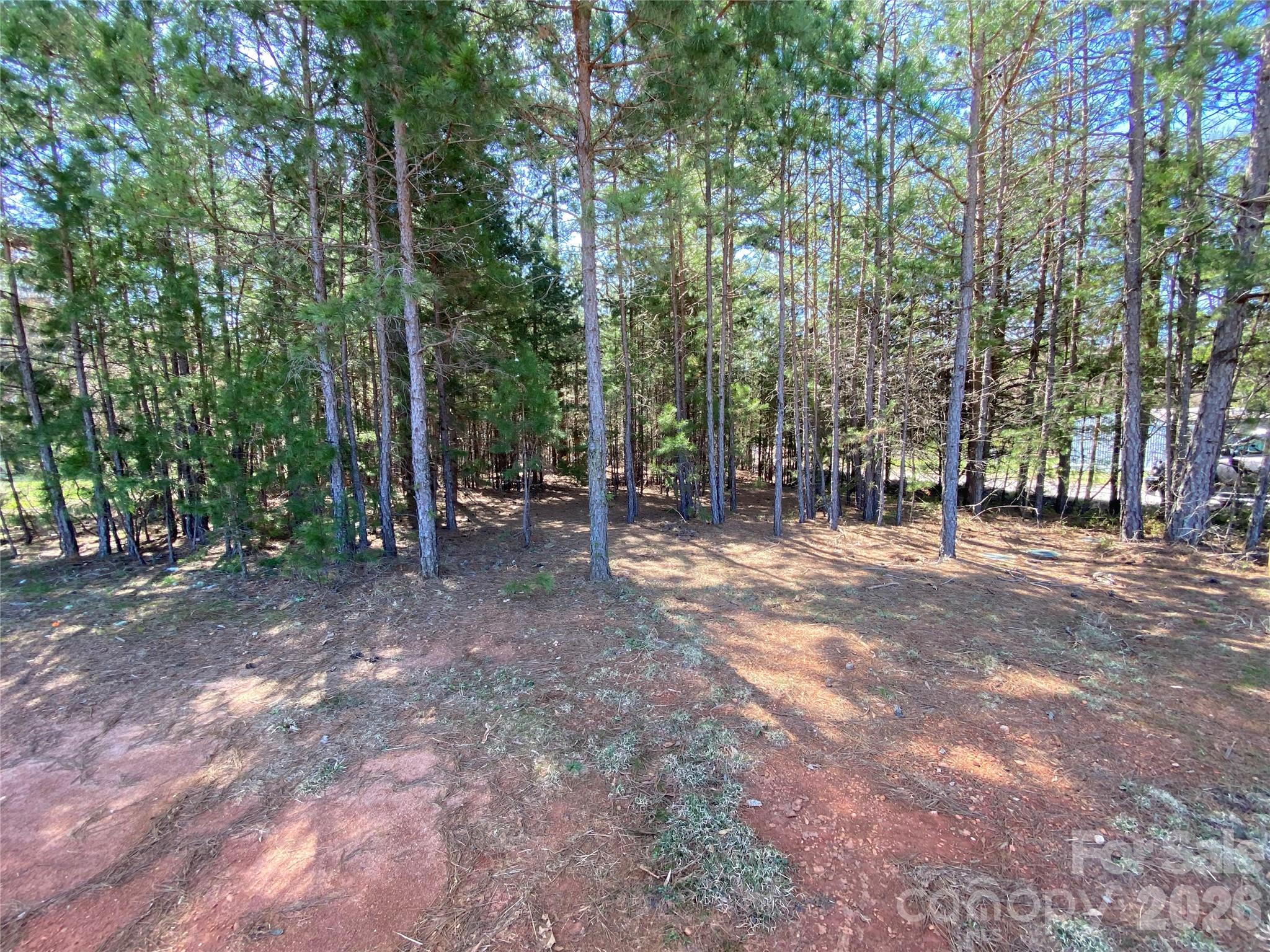 Next To 1670 Buck Oak Road Property Photo 4
