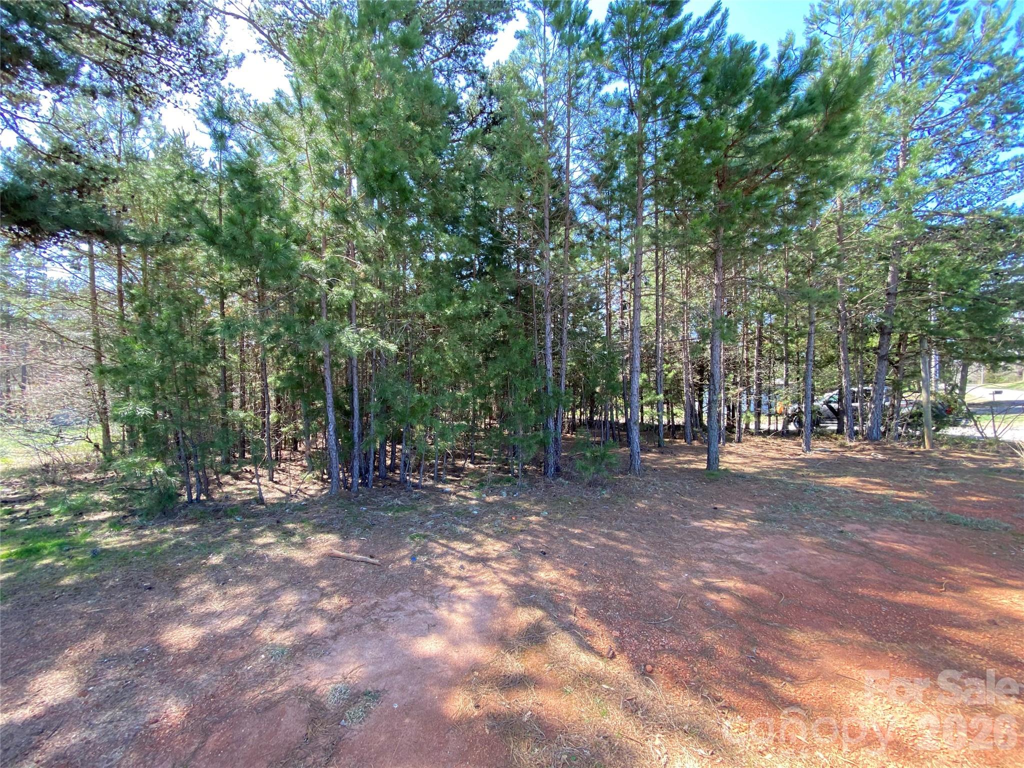 Next To 1670 Buck Oak Road Property Photo 5