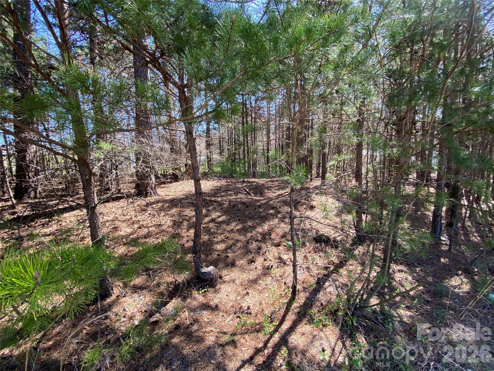 Next To 1670 Buck Oak Road Property Photo 6
