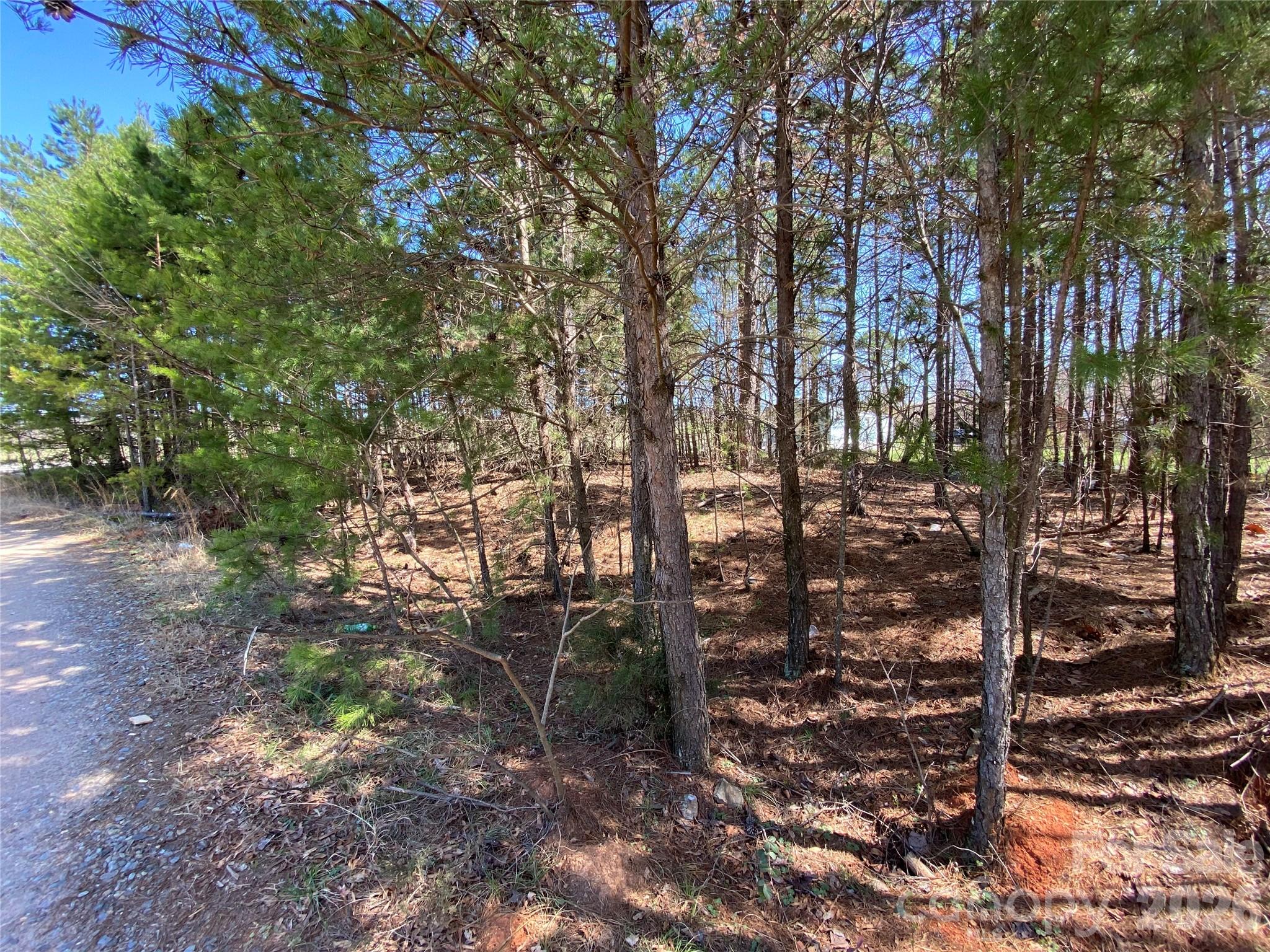 Next To 1670 Buck Oak Road Property Photo 7