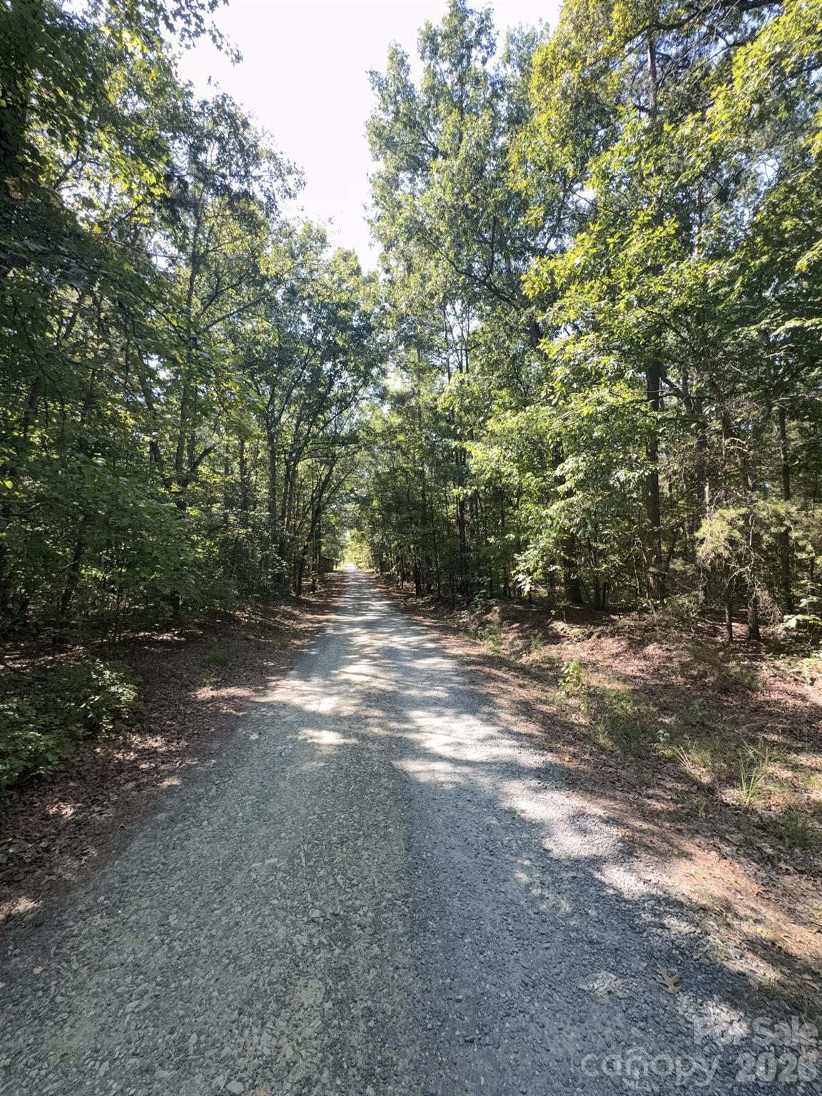 0 Flat Swamp Road Property Photo 1