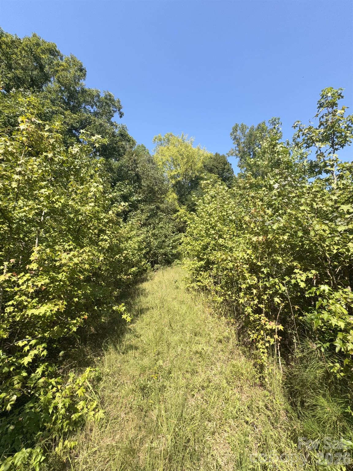 0 Flat Swamp Road Property Photo 2