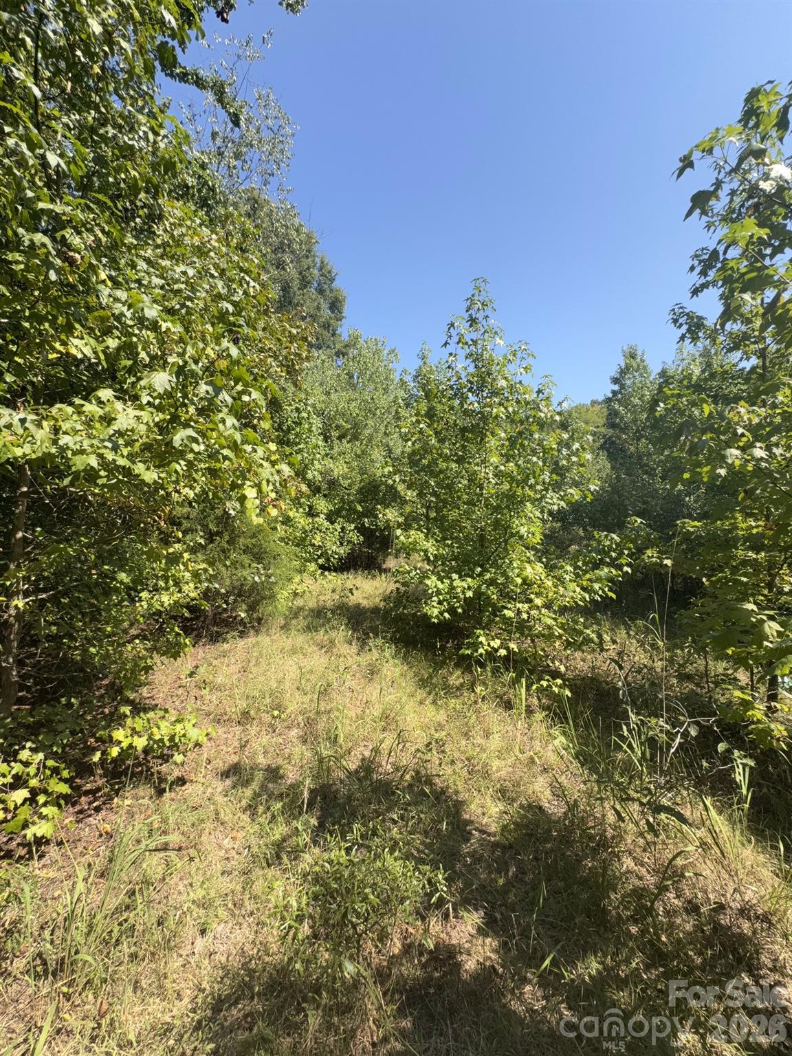 0 Flat Swamp Road Property Photo 3